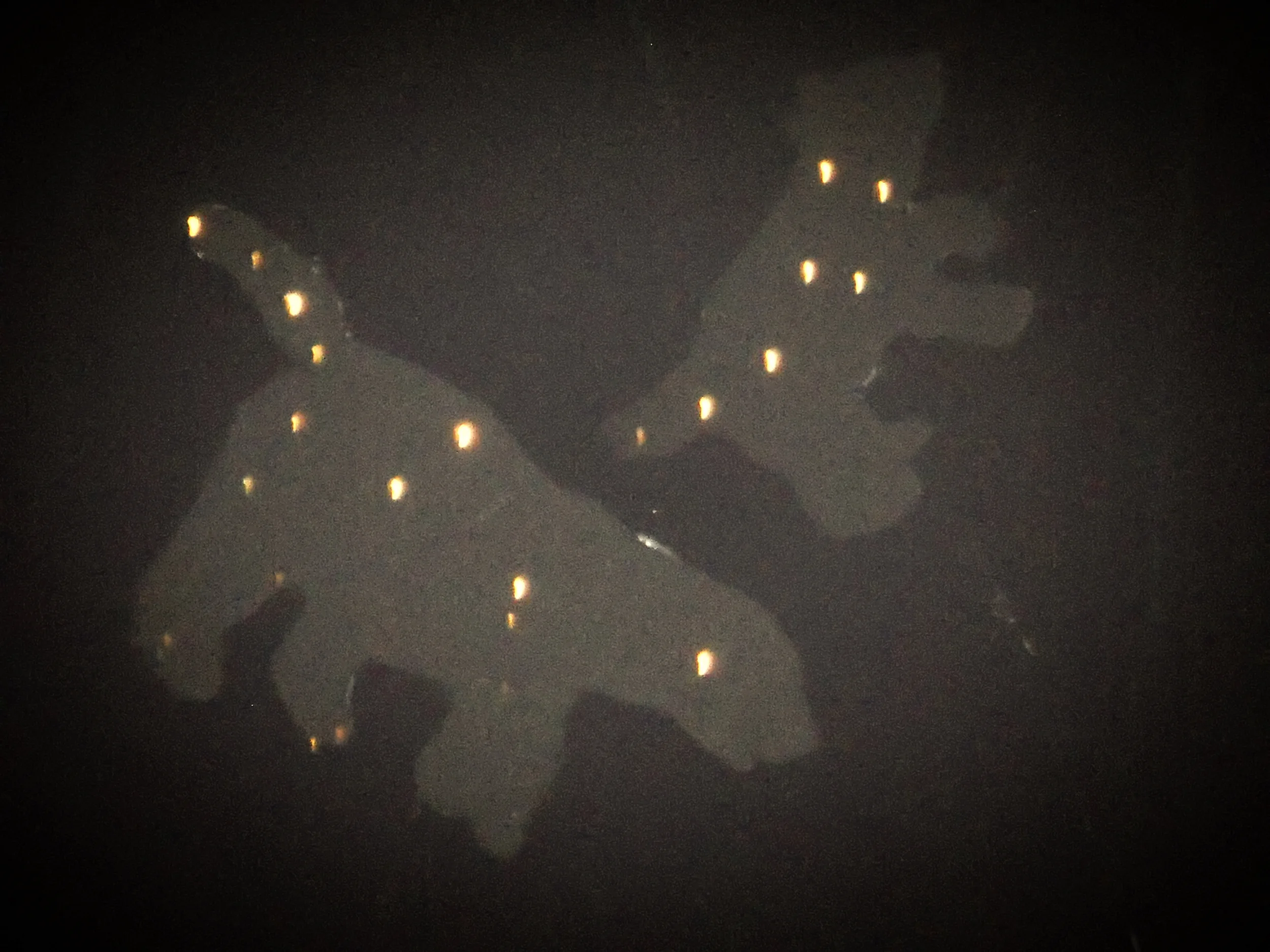 *NEW* Legends of the Big Dipper