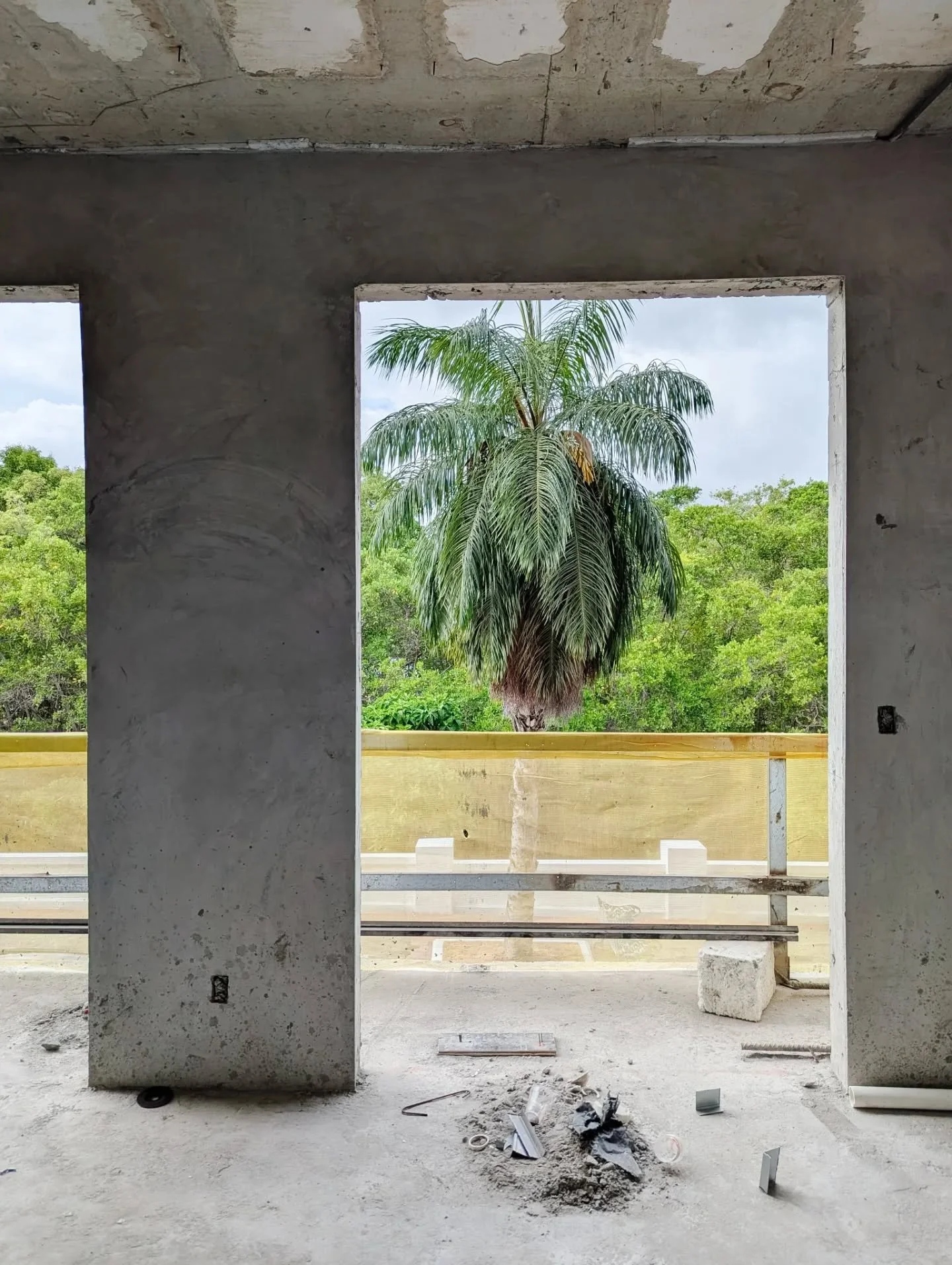 Tucked away on a quiet corner of Casco, construction at Plaza Novena has reached the top-level floor slab. The lush mangroves are already stepping into a starring role, with each apartment opening outward to this rare patch of nature in an otherwise 