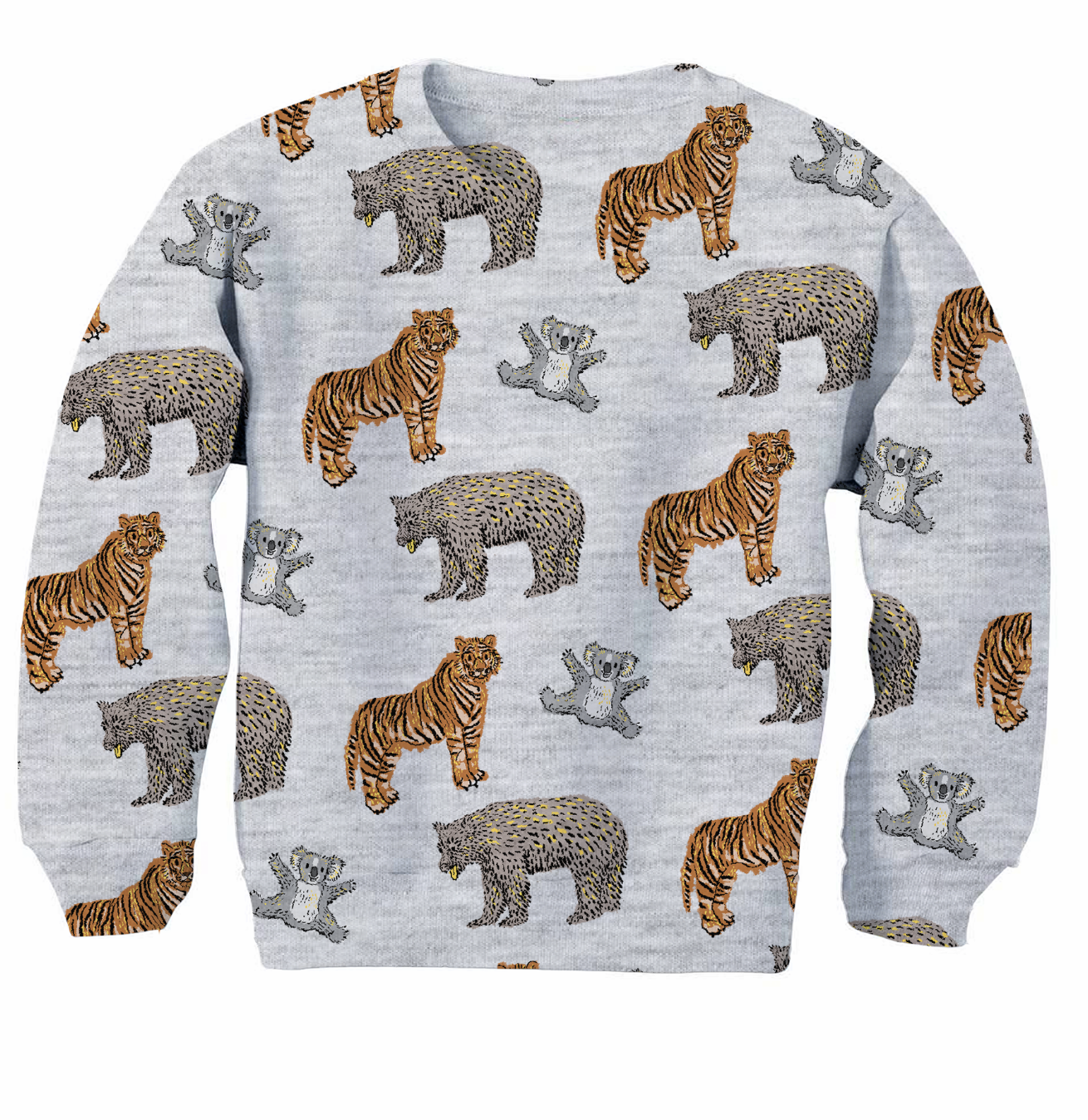RAWR! pattern on kid's sweatshirt