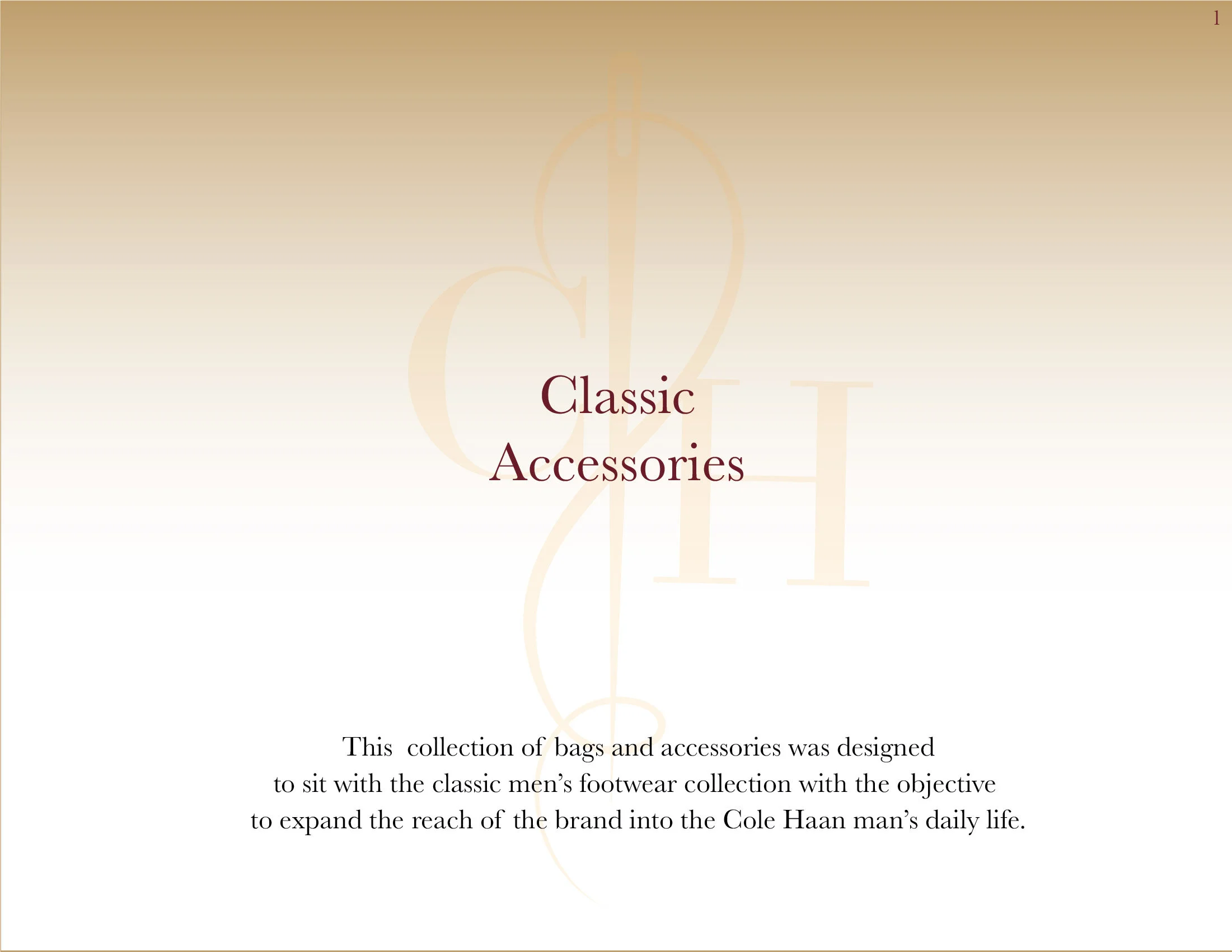 classic accessories-01.jpg