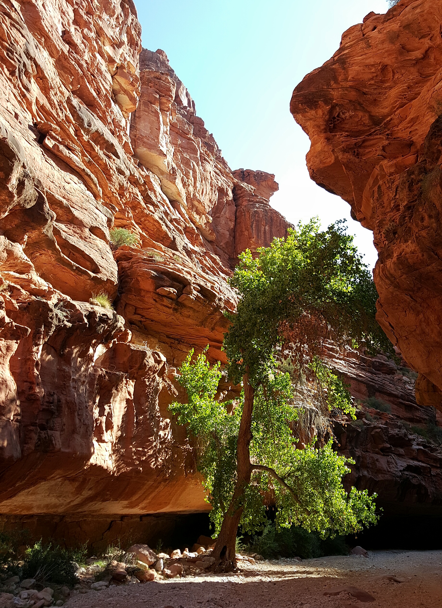 The famous waterfalls are not the only beautiful thing to see on this trip, winding through the red rock, carved canyons, never knowing what lays around the next corner hold an entirely different kind of excitement.