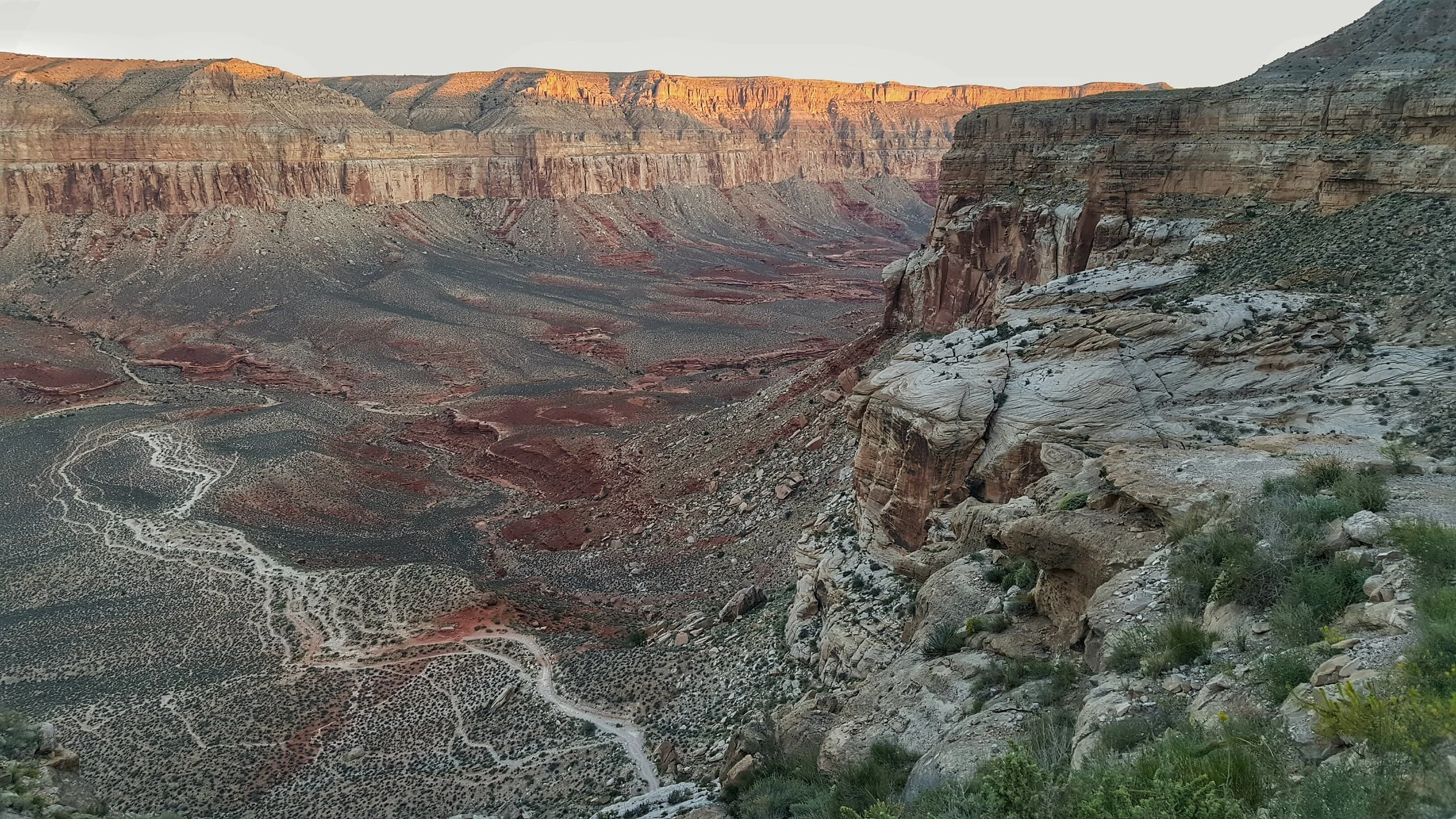 20150912_061809-01.jpeg