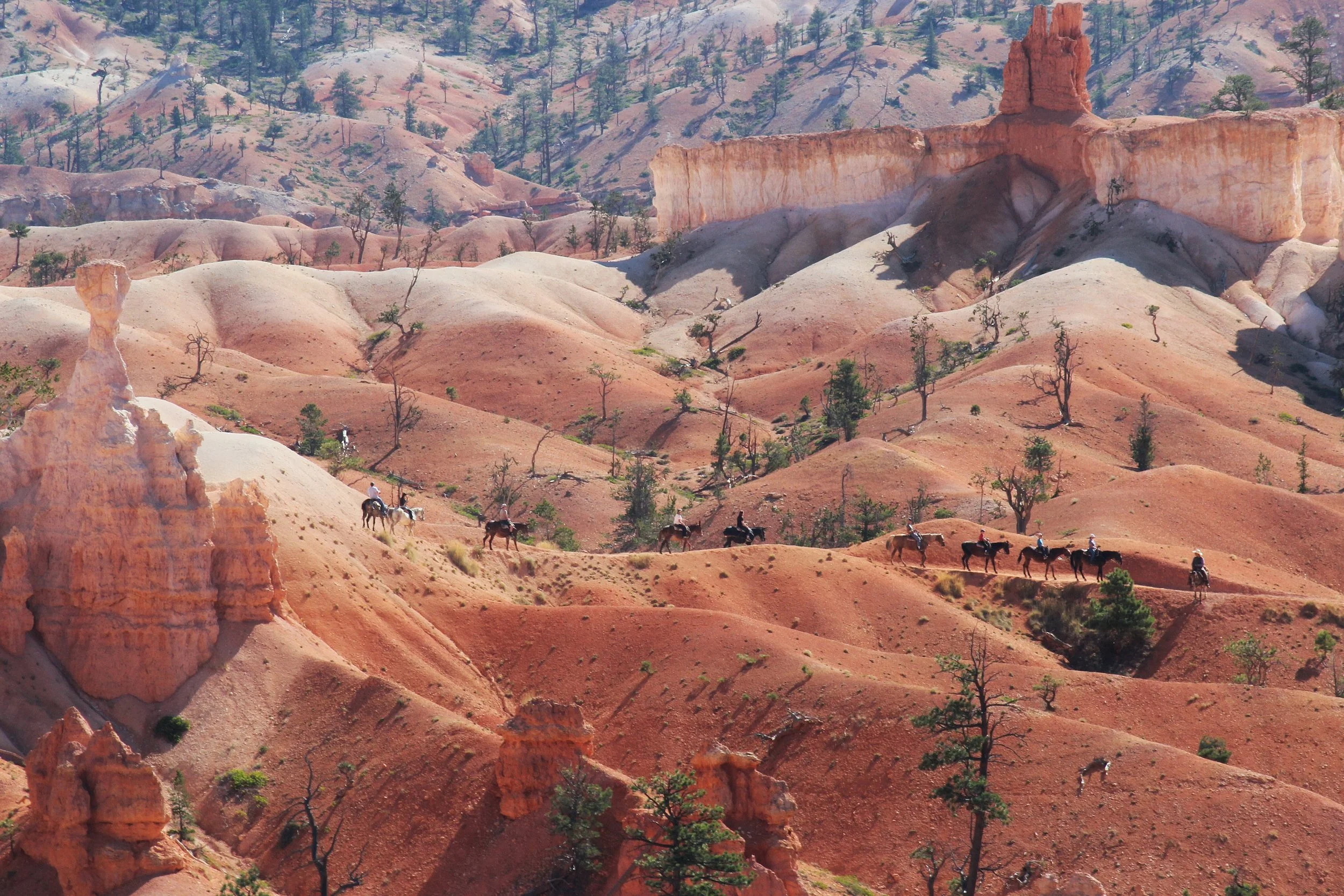 Cowboys in Bryce Canyon