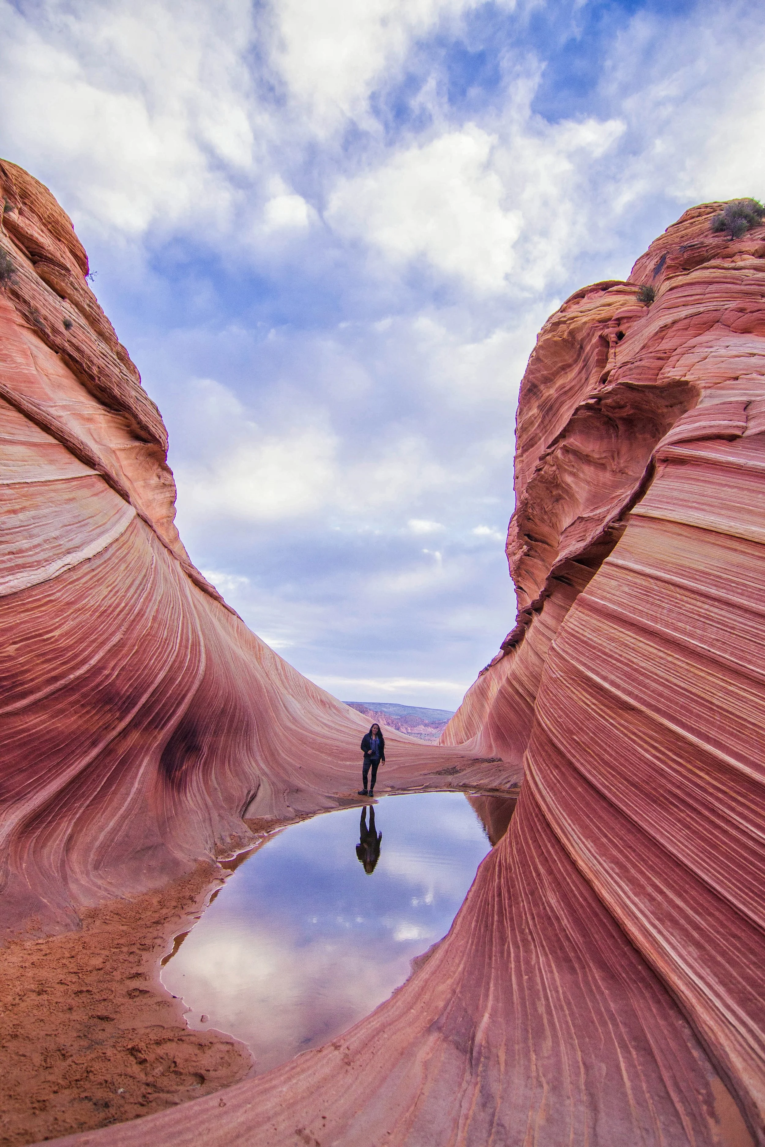 Exploring the Wave
