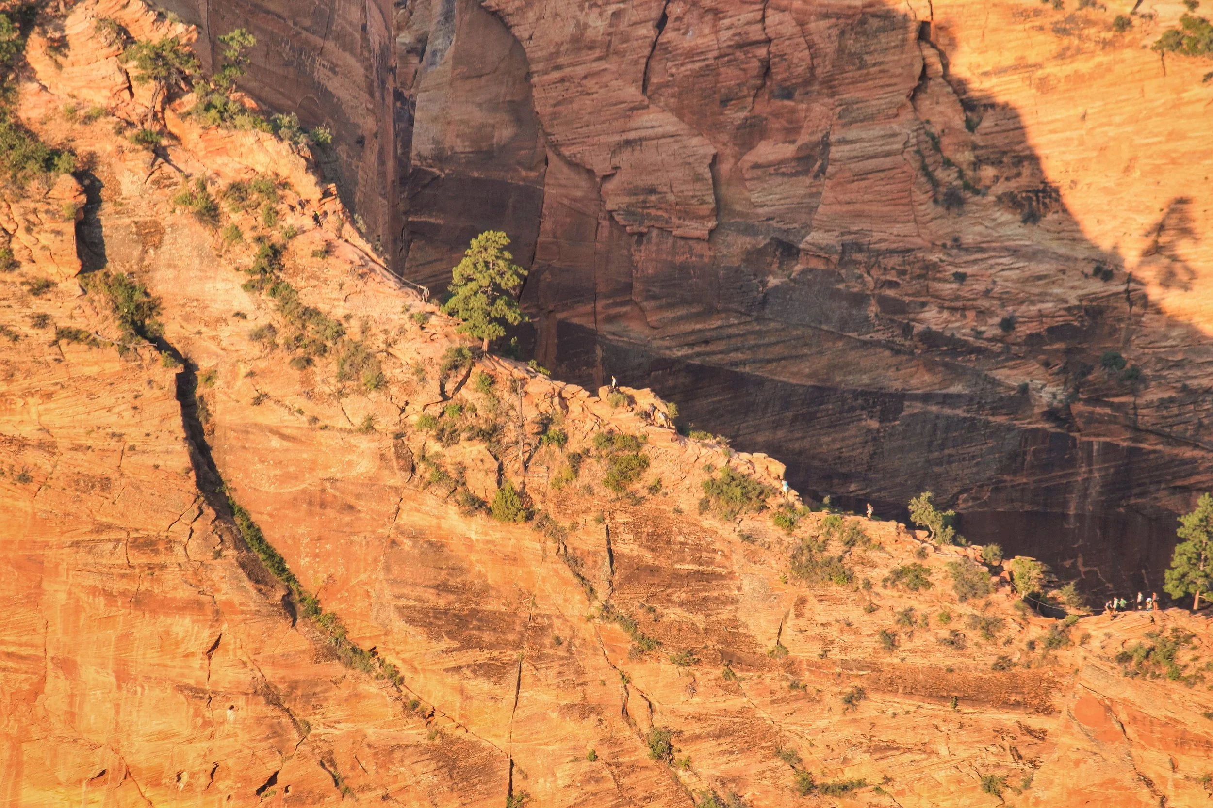 Observing Angel's Landing in Zion National Park