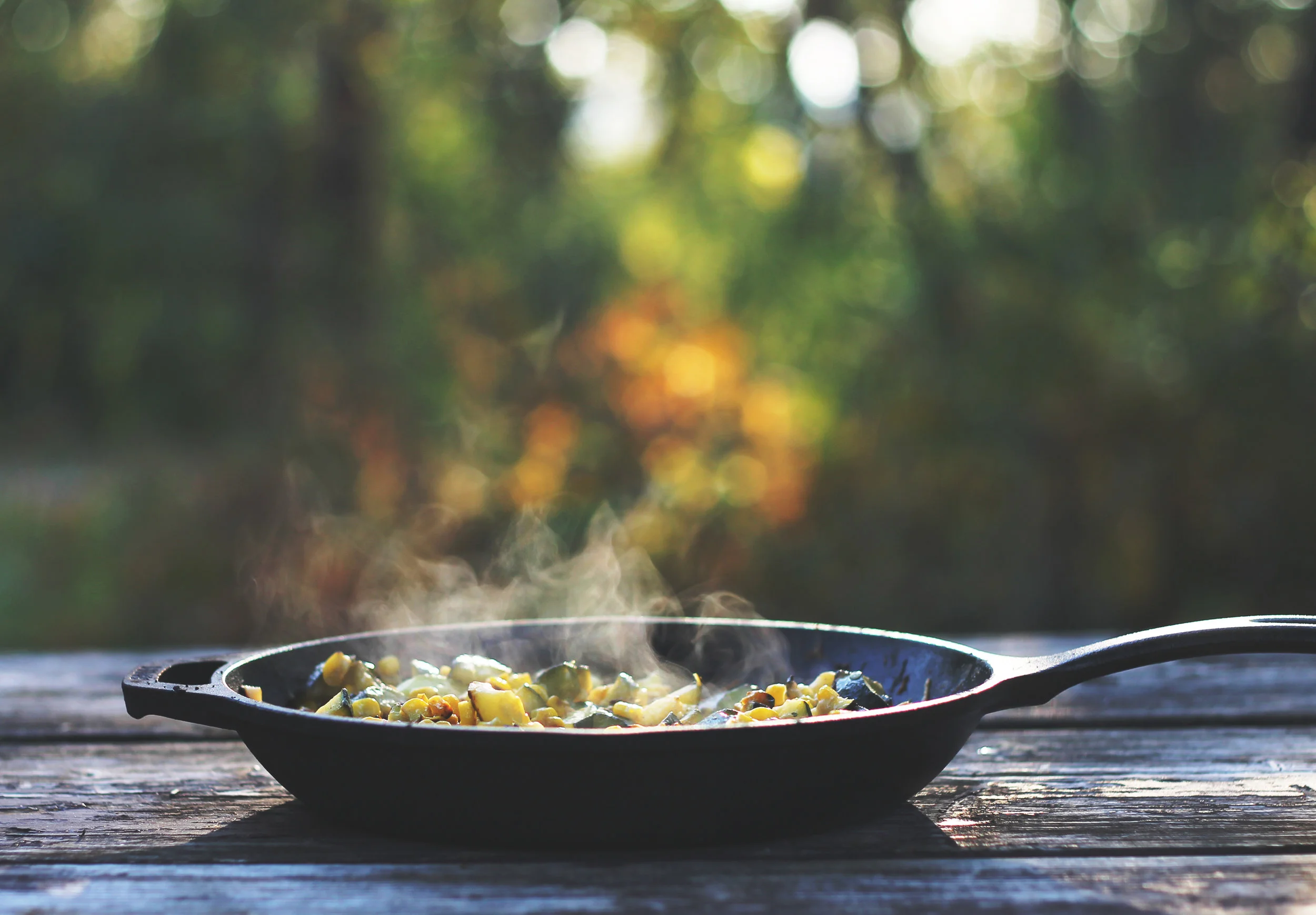 Cast Iron Dinner.jpg