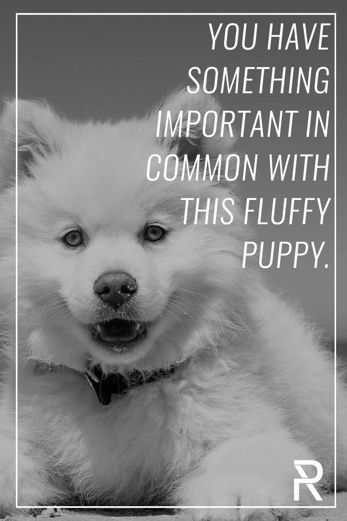 You have no more will power than this puppy when it comes to treats... So spare yourself the temptation by keeping your home free from too many treats!