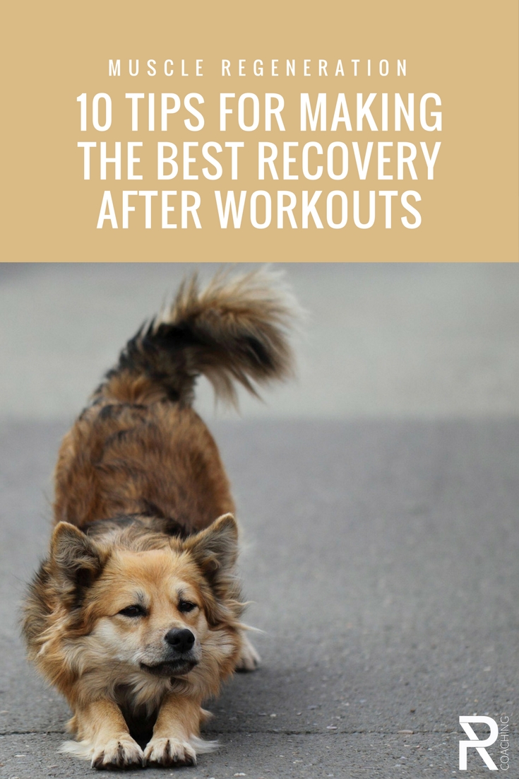 How can you make the best recovery after workouts? Here's a list of factors to consider, including the characteristics that all good regeneration workouts should include.