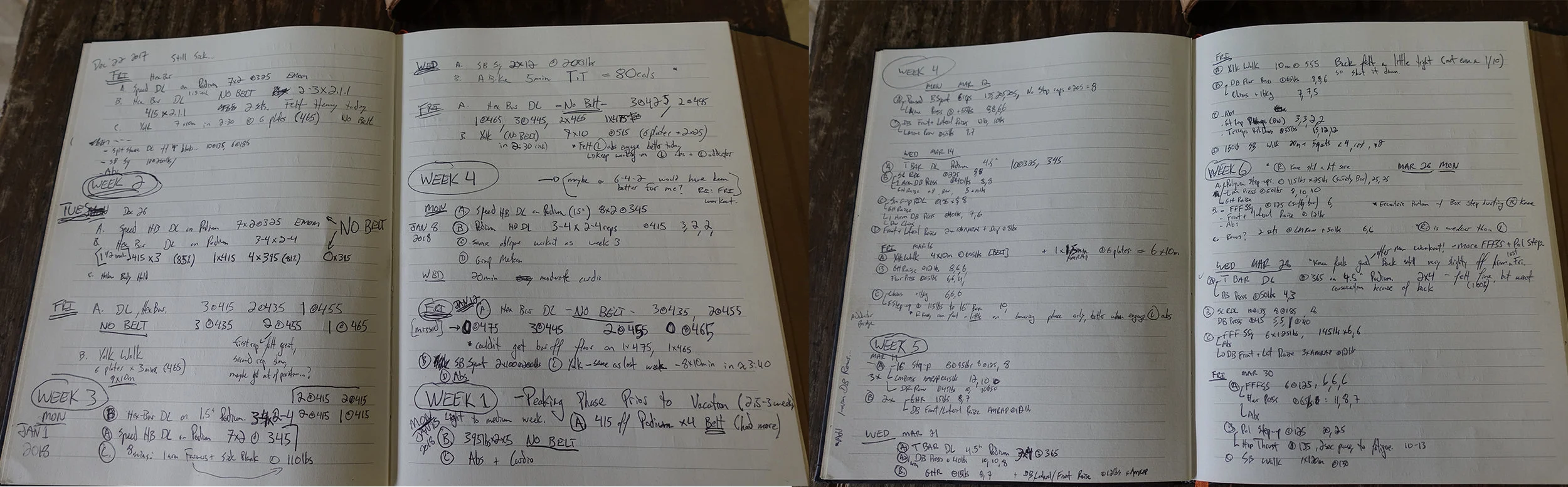 A couple pages from my training journal.