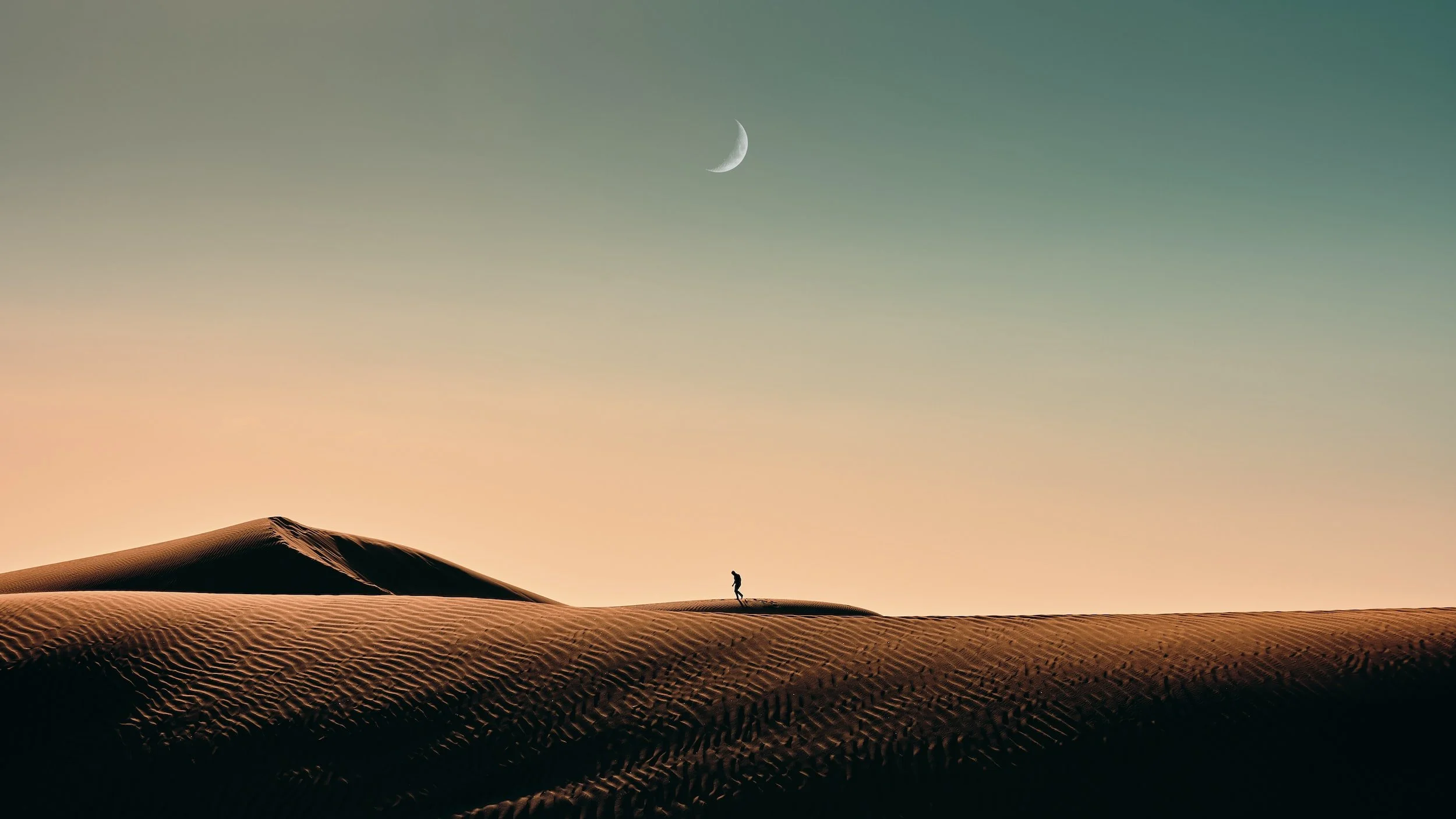 unsplash-image-11tSxJLa5UQ.jpg