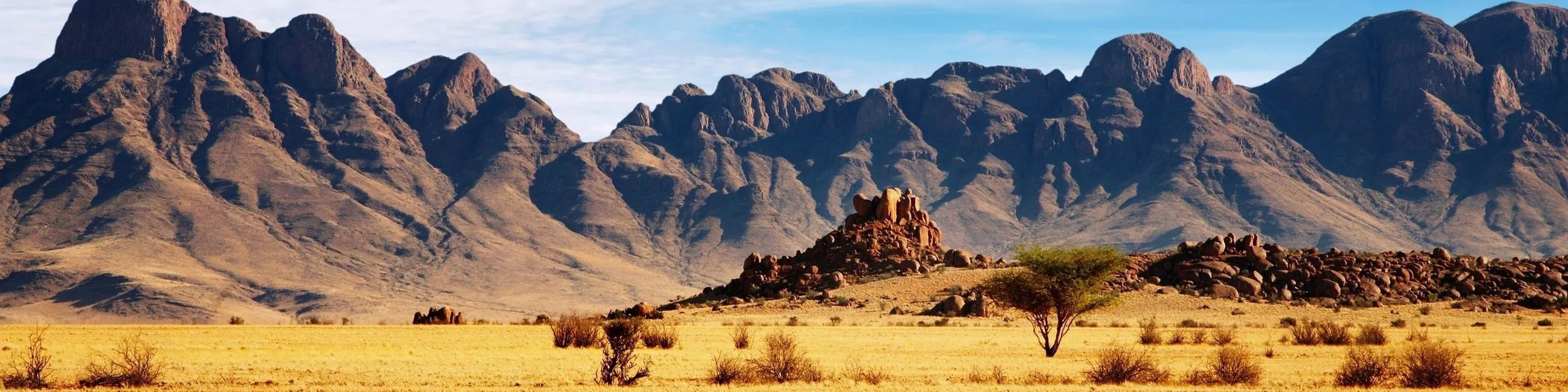 Desert-Beautiful-Landscape (1)