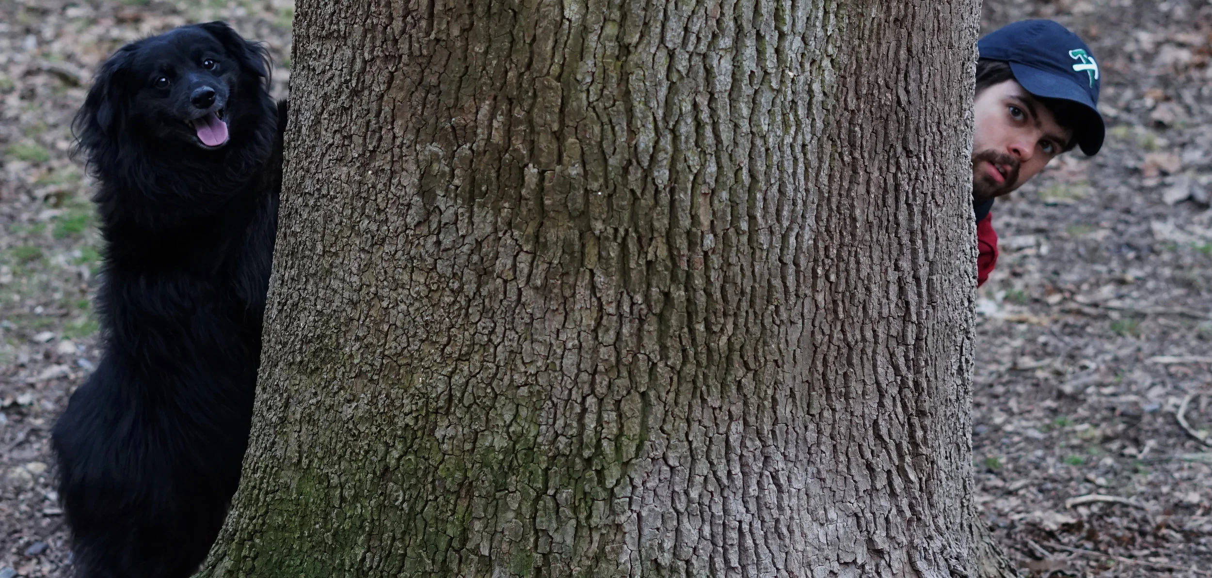 behind tree 2.jpg