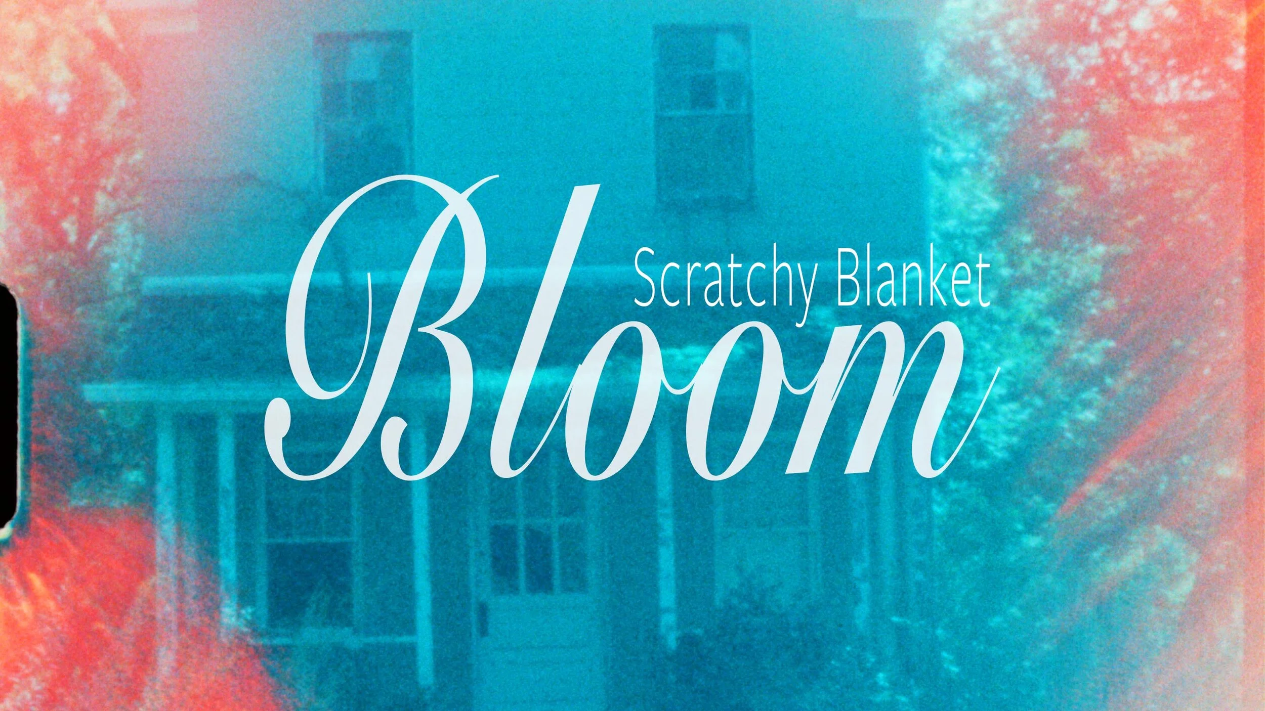 Scratchy Blanket - Bloom