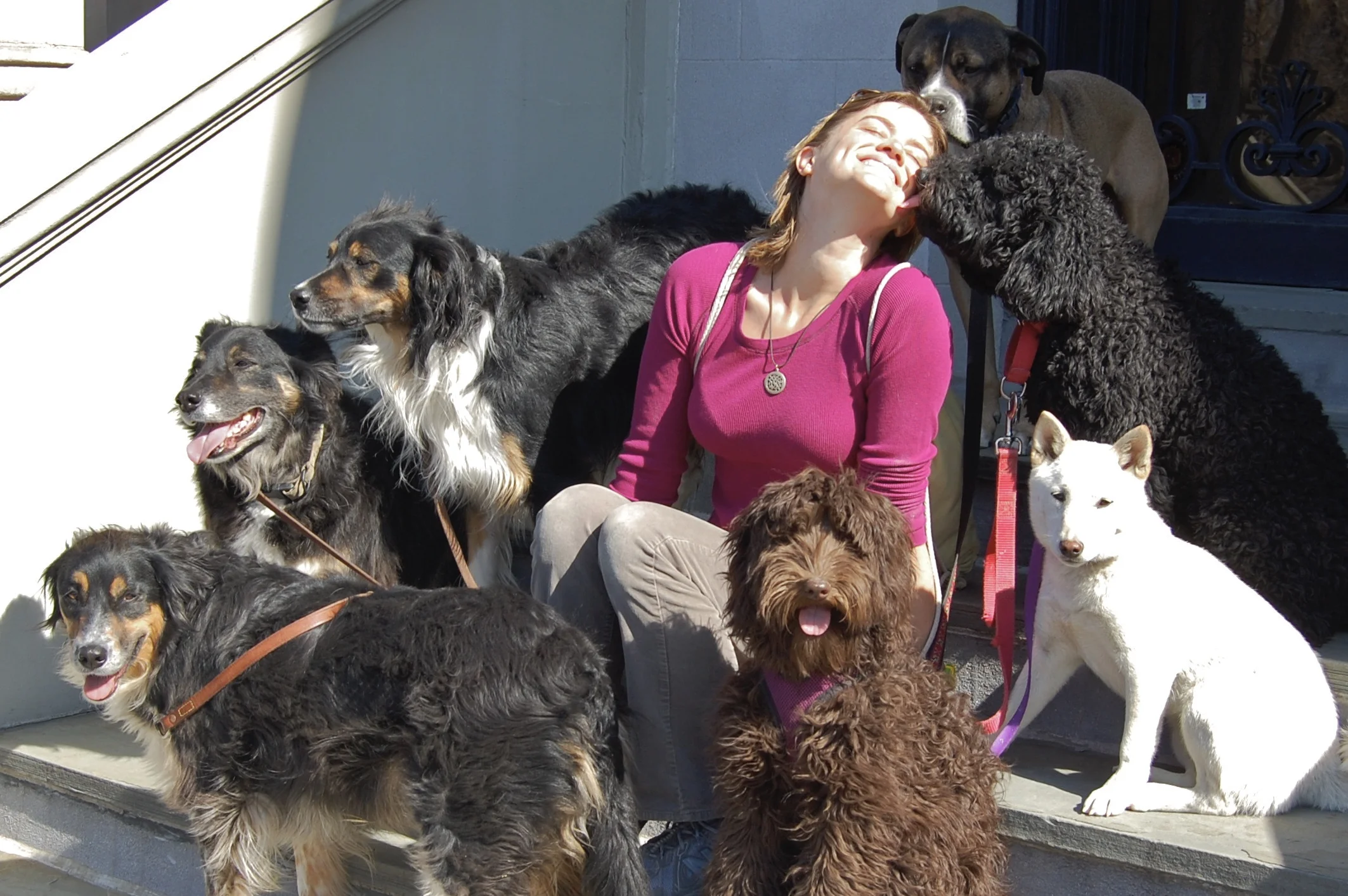 A throwback of Amanda with some of the original playgroupers, around 2010. Clockwise from front: Tulip, Django, Lacey, Merle, Fido, Misha, Bridget.