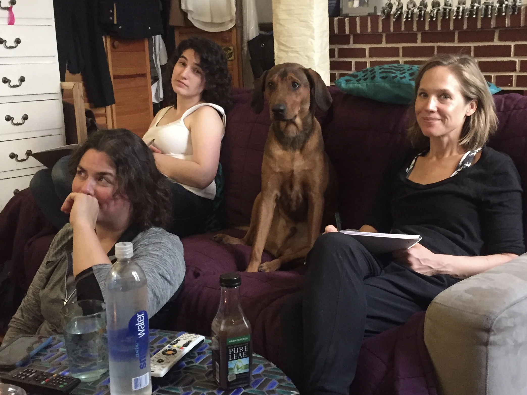Periodically, AGDT trainers gather for "geeky trainer day," where we share and discuss recent scientific studies, creative training techniques, and the state of the art in dog training. Drago (Amanda's dog) participates when demonstrations are needed. ;) Left to right: Cheyanne, Naomi, and Victoria. 