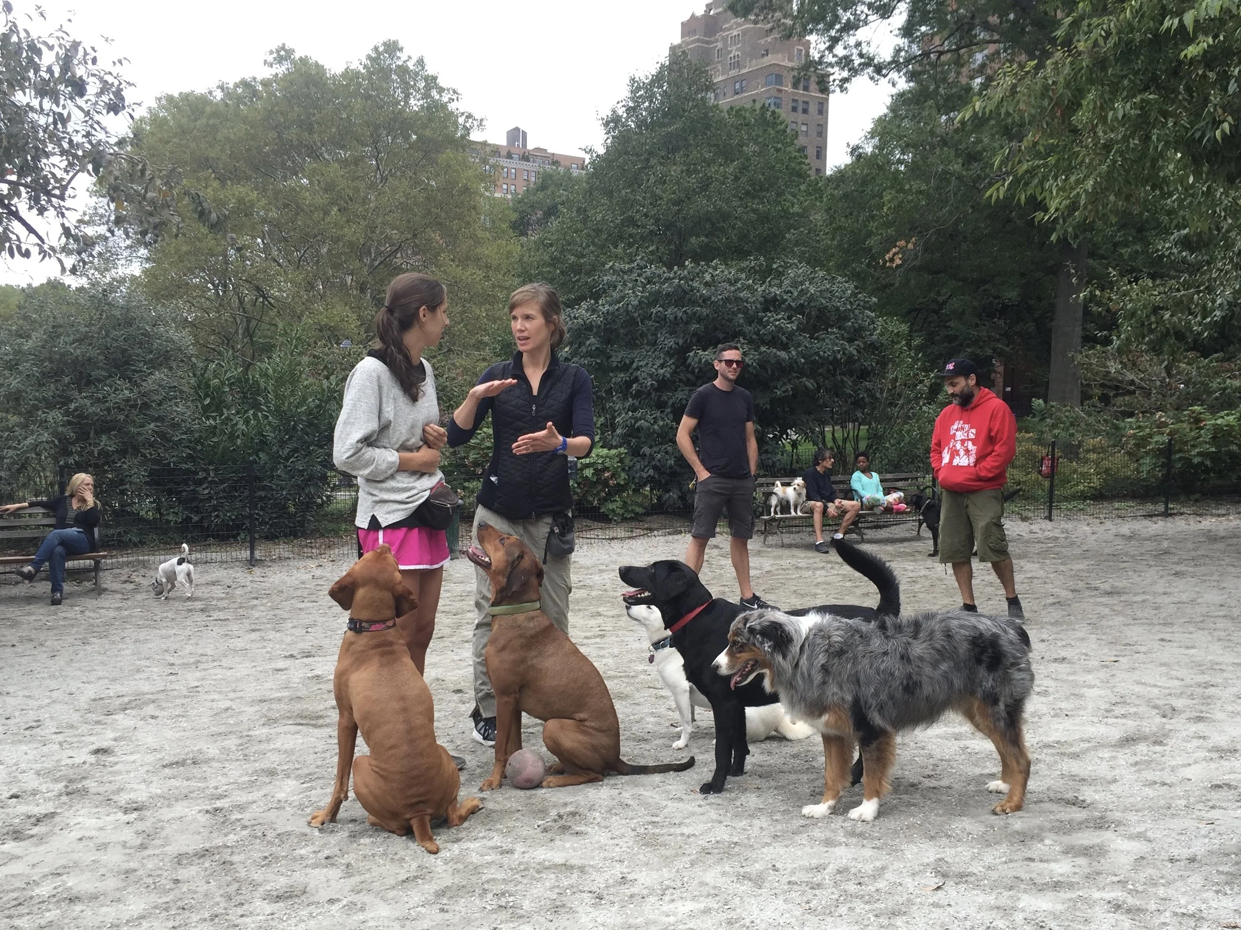 Victoria and Eleanor discuss training techniques at the dog run.