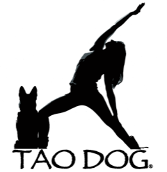 TDYLogoWebPNG24.png
