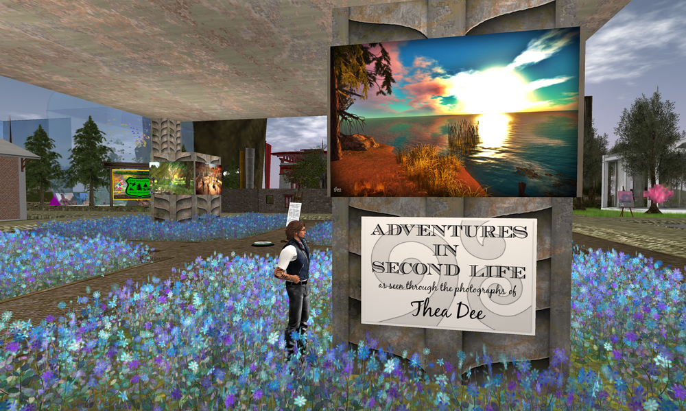 SL13B neighbors-photos by TheaDee_001.png