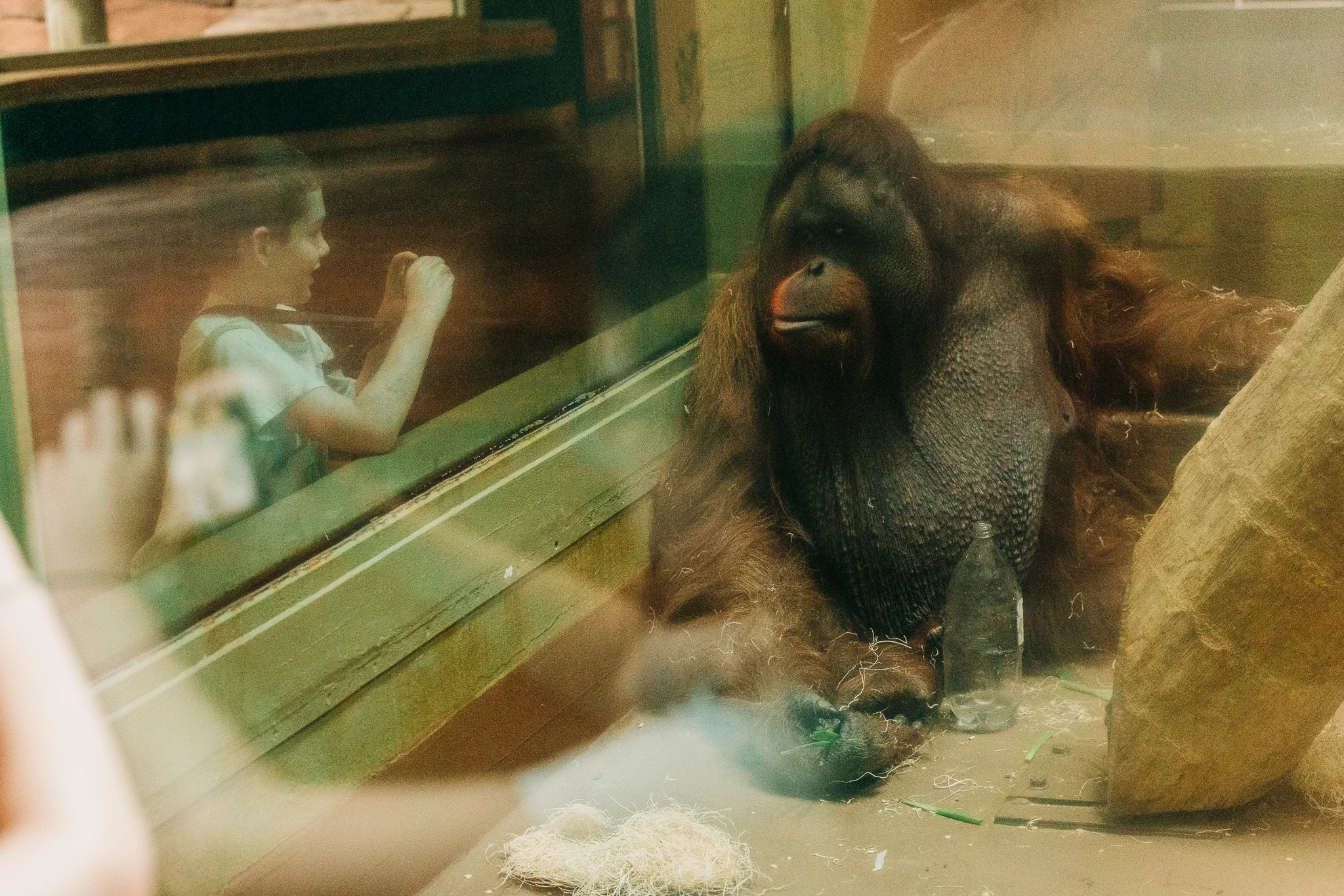 OKC_Zoo_April-22-2019-22.jpg