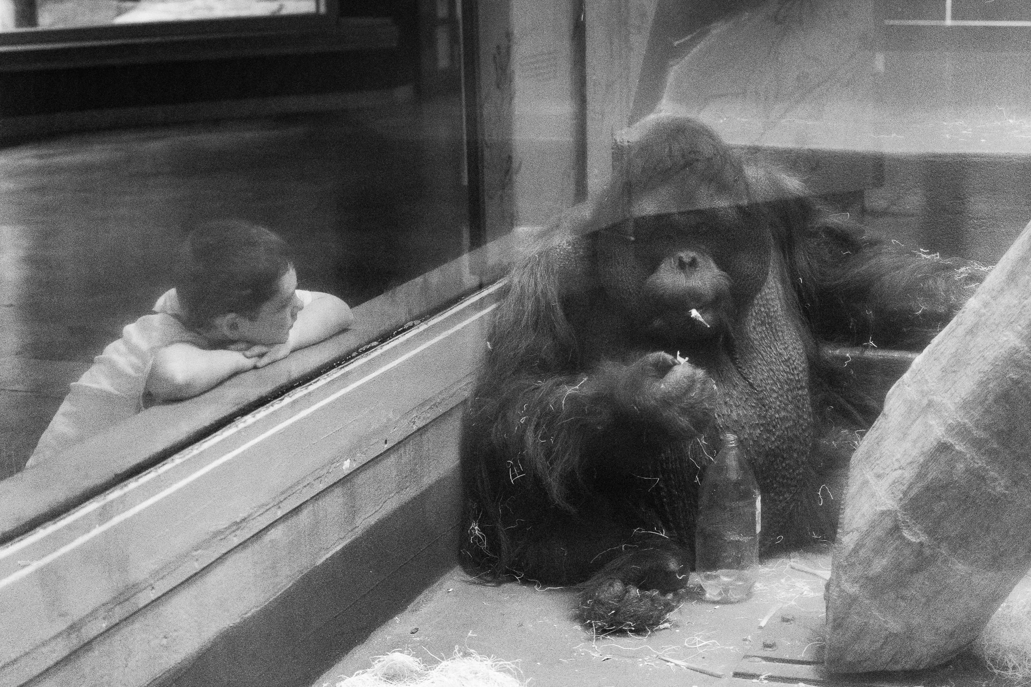 OKC_Zoo_April-22-2019-25.jpg