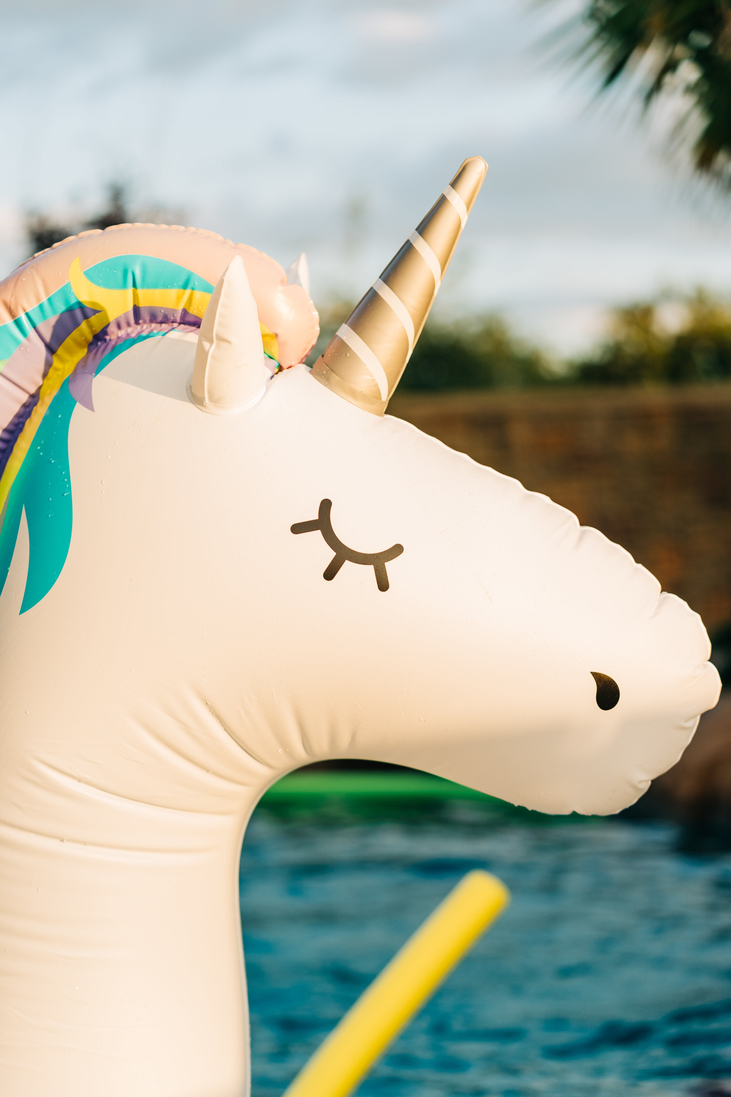 Pool_Life-18.jpg