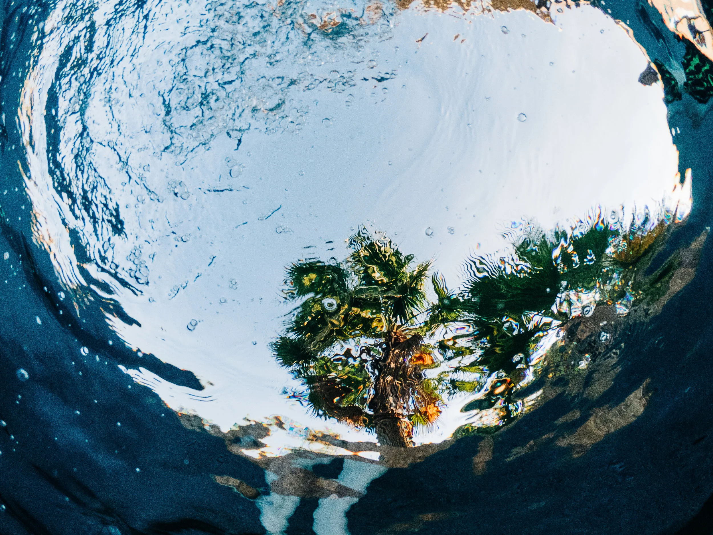 Swimming_goPro-4.jpg