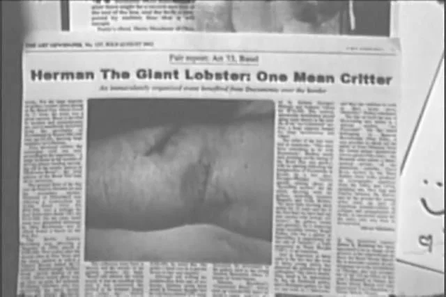 Friedman and The Lobster