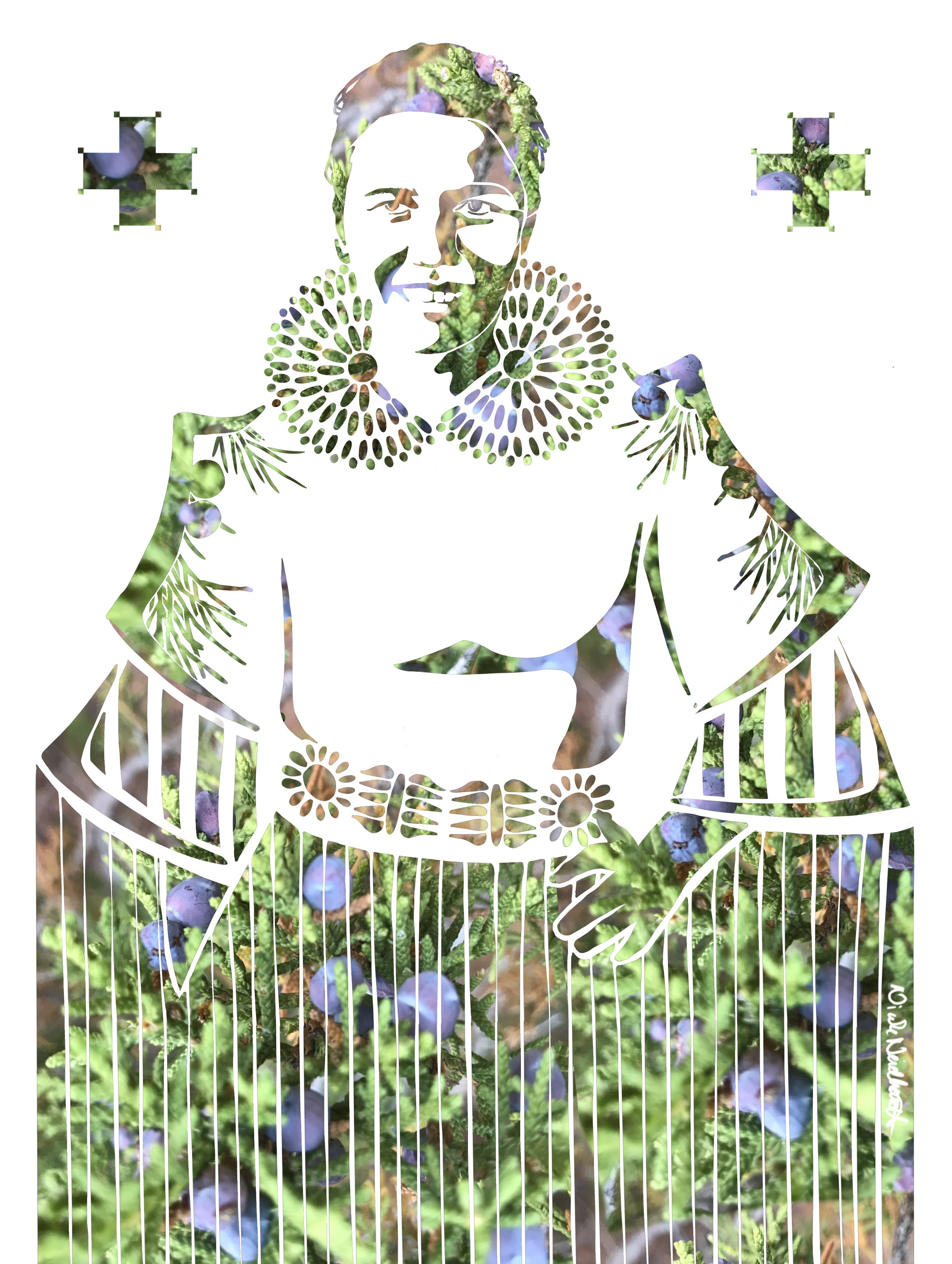 Juniper Matriarch - 11 x 14" print