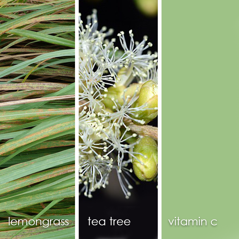 lemongrass_teatree_c.png
