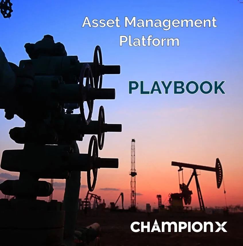 Playbook cover.JPG