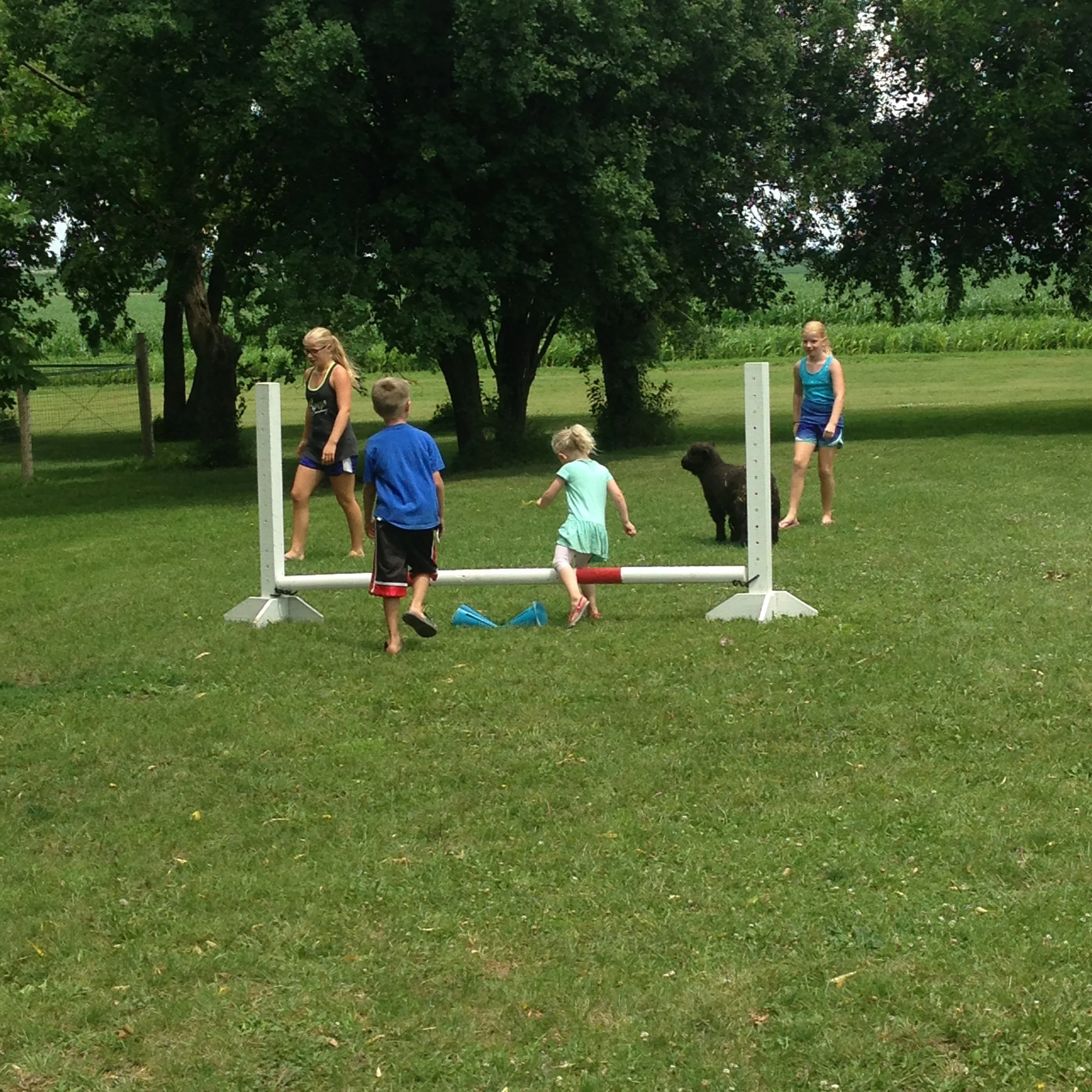 Horse Jump Course...where YOU are the horse (and sometimes a lamb will join the fun!)