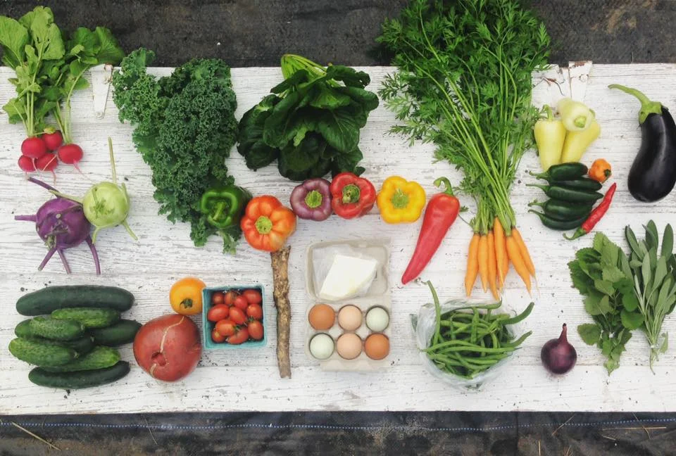 Our veggies become your medium to create in the kitchen. Make something beautiful