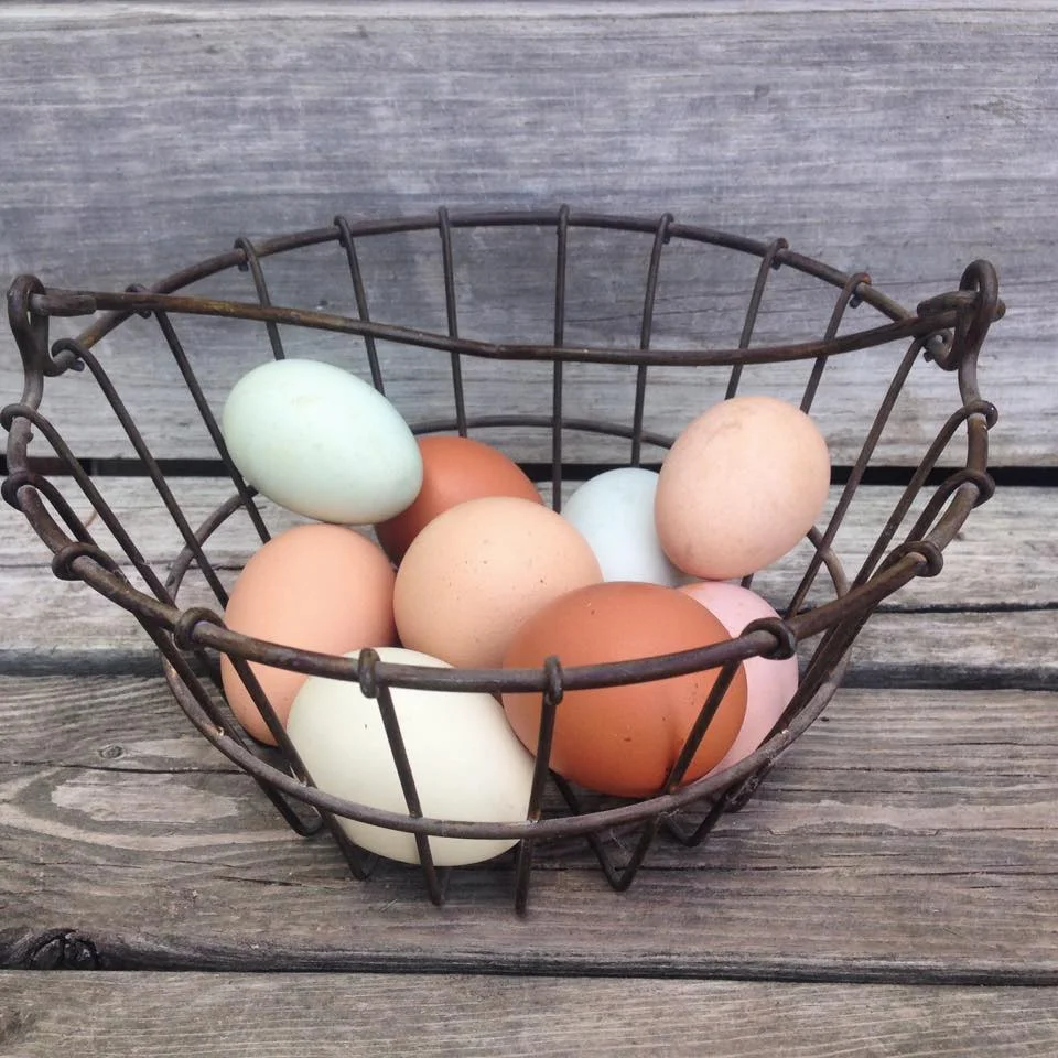 eggs.jpg