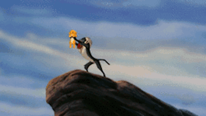 lion king.gif