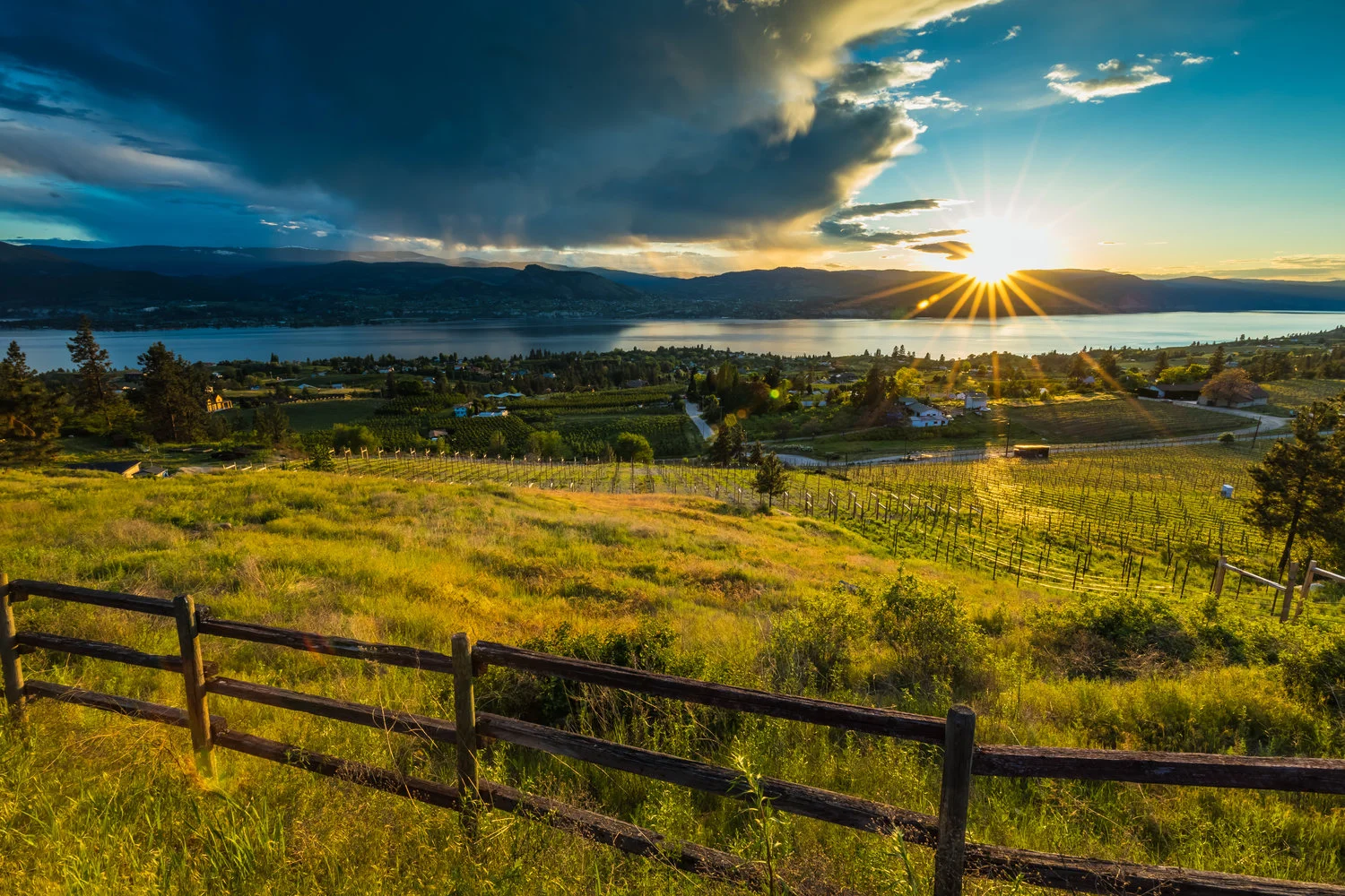 The View from Daydreamer Winery (photo credit: Winemaker Marcus Ansems)