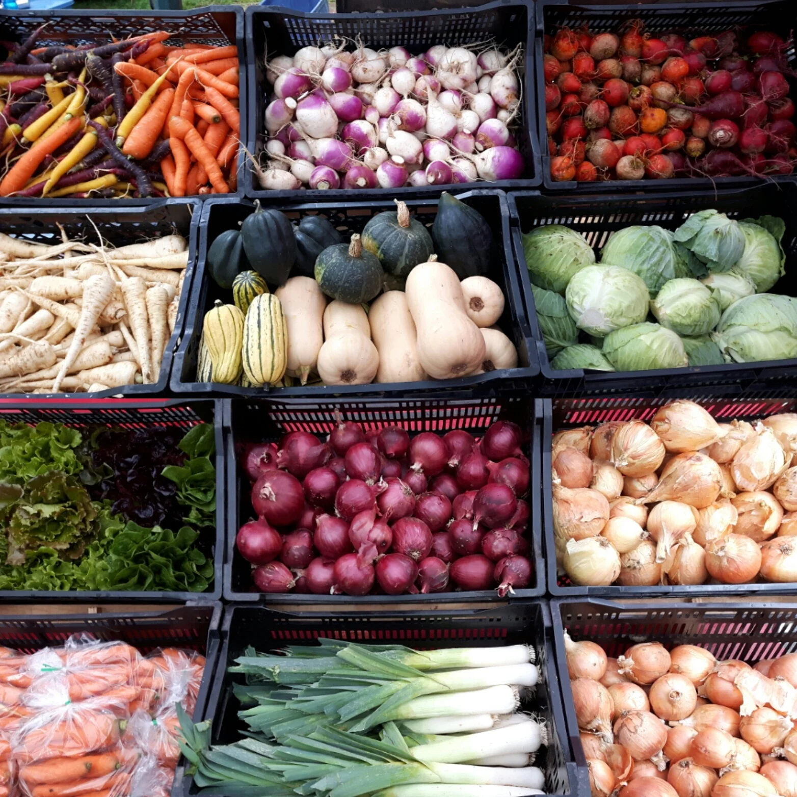 photo credit: zaklan heritage farms