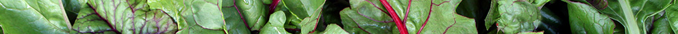 Photo of rainbow swiss chard – Naturopathic Methods, Nutrition