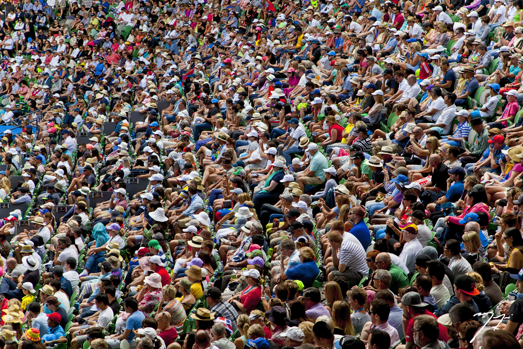 crowd_side.jpg