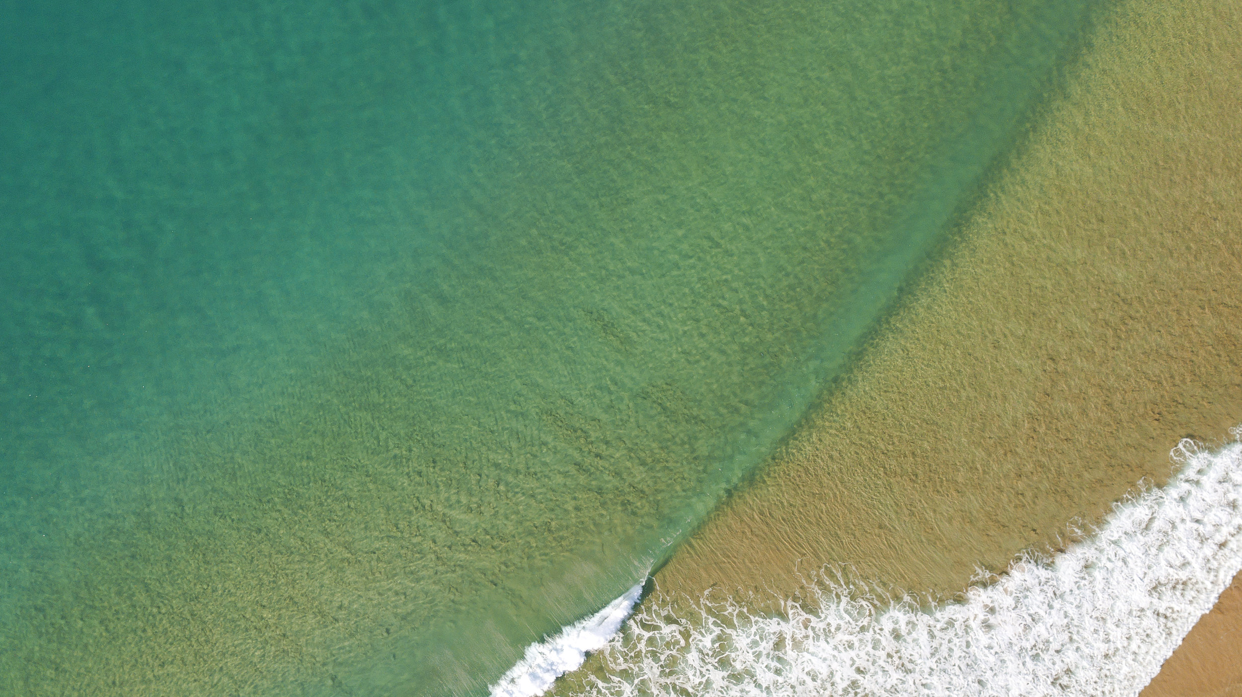 DeeWhy_Morning_2.jpg