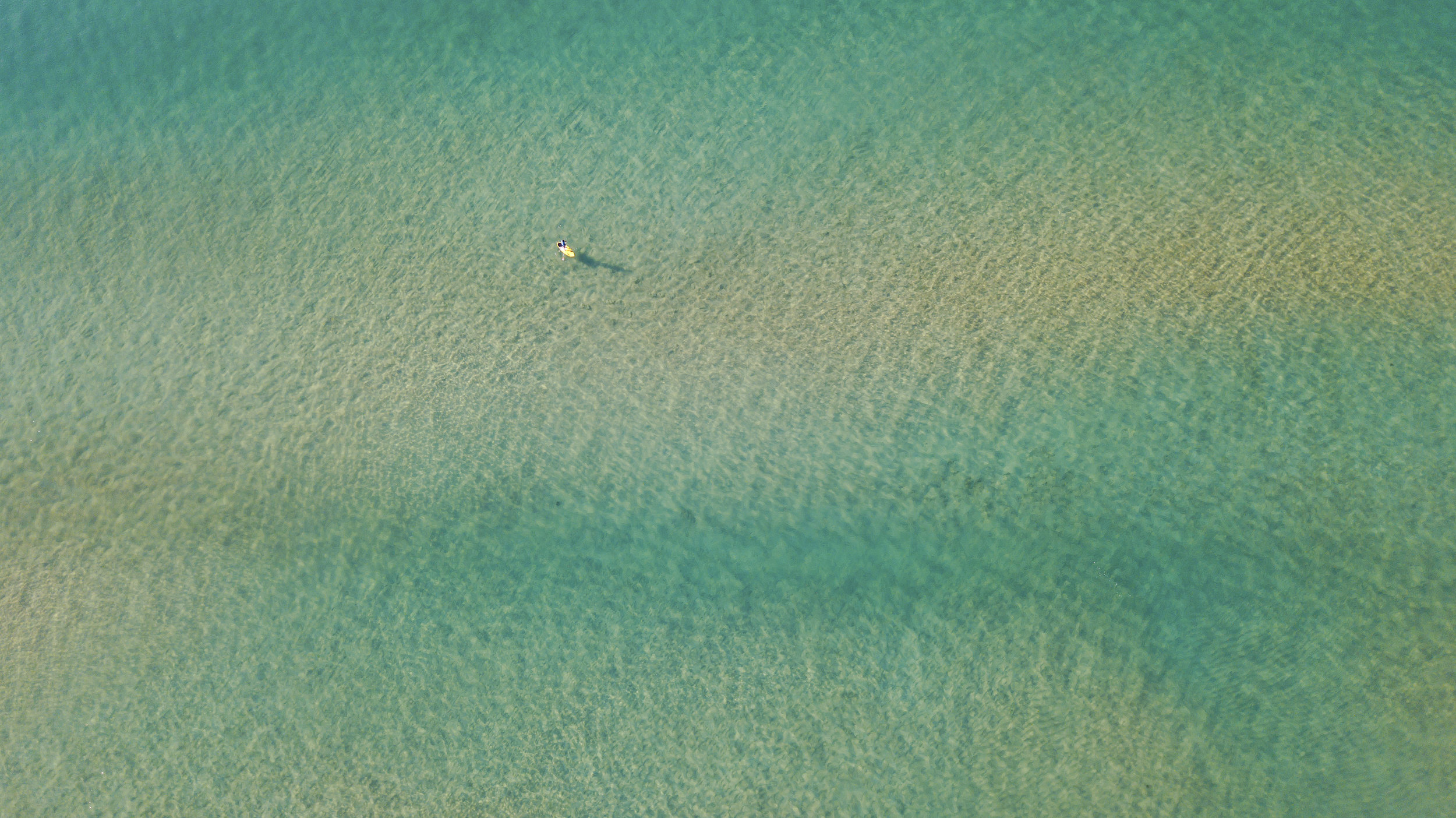 DeeWhy_SUP_1.jpg