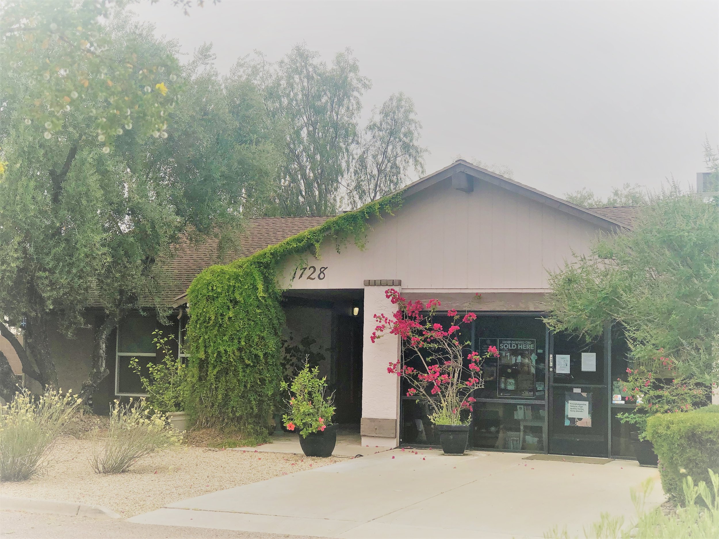 store front.jpeg