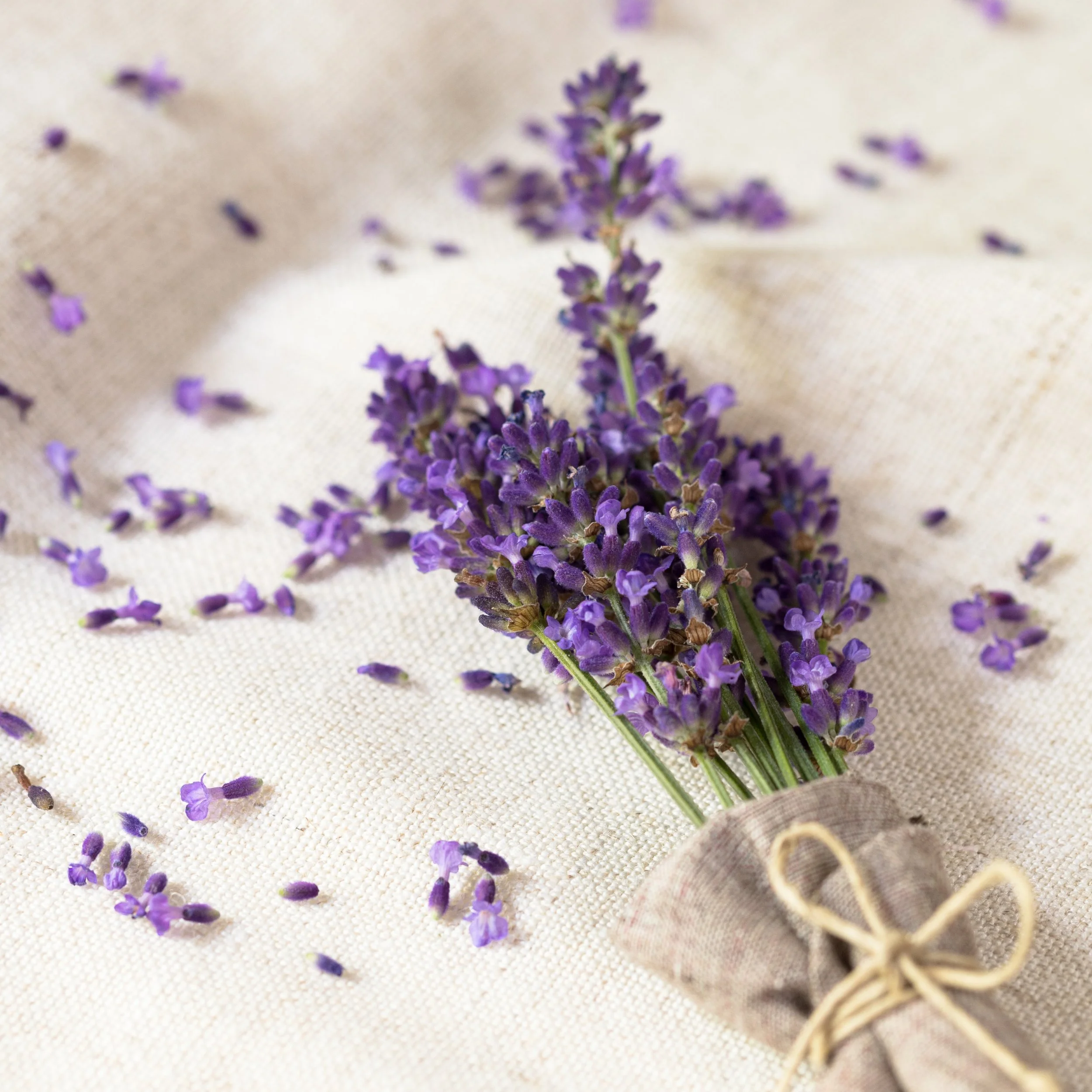 Beyond Lavender: Discover 10 Lesser-Known Essential Oils to Add to Your Collection