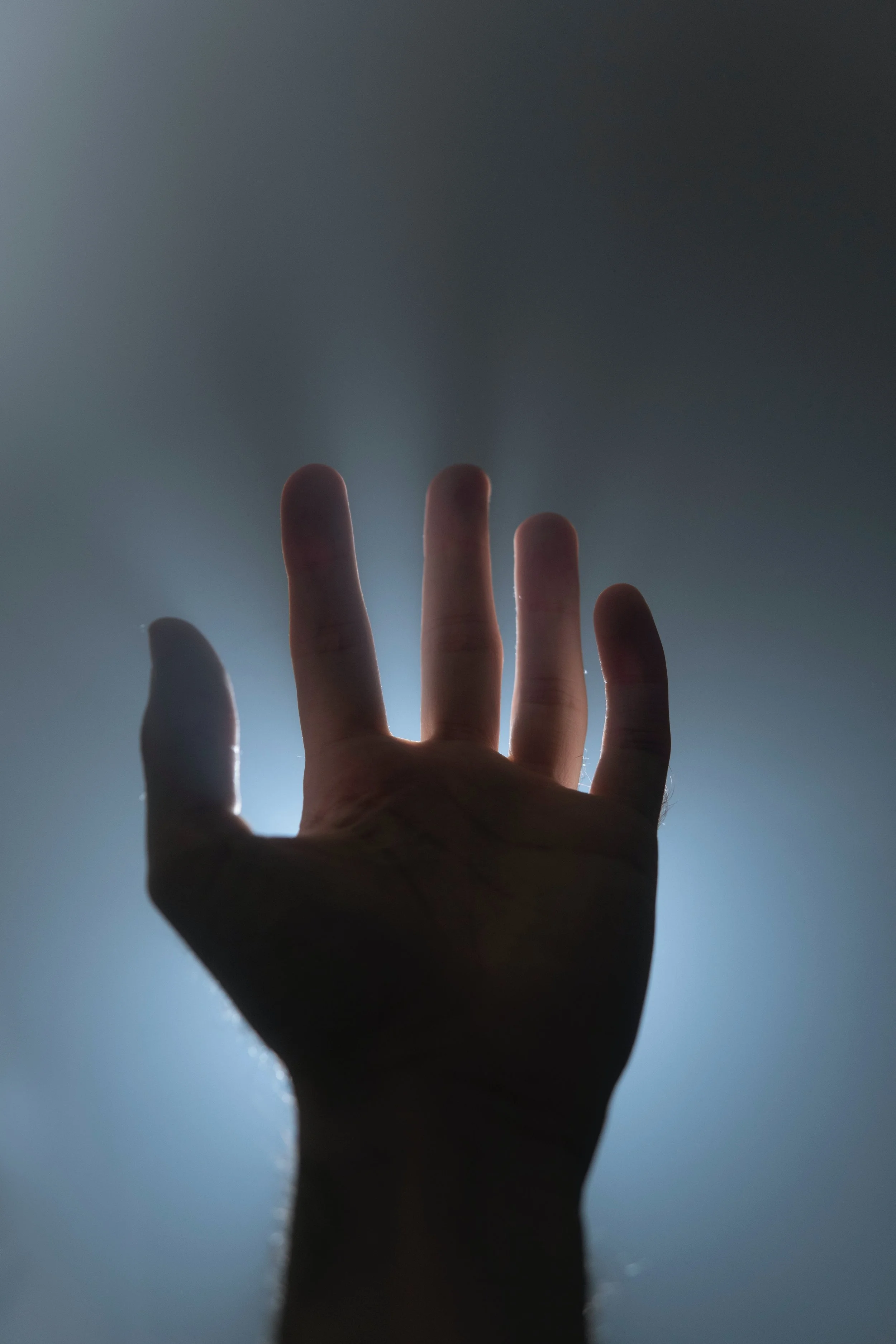 Reiki Certification #1