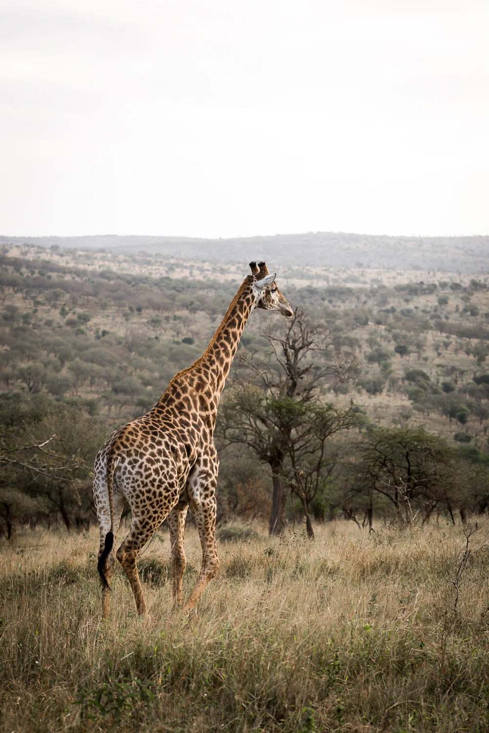 SouthAfrica-218_LR.jpg