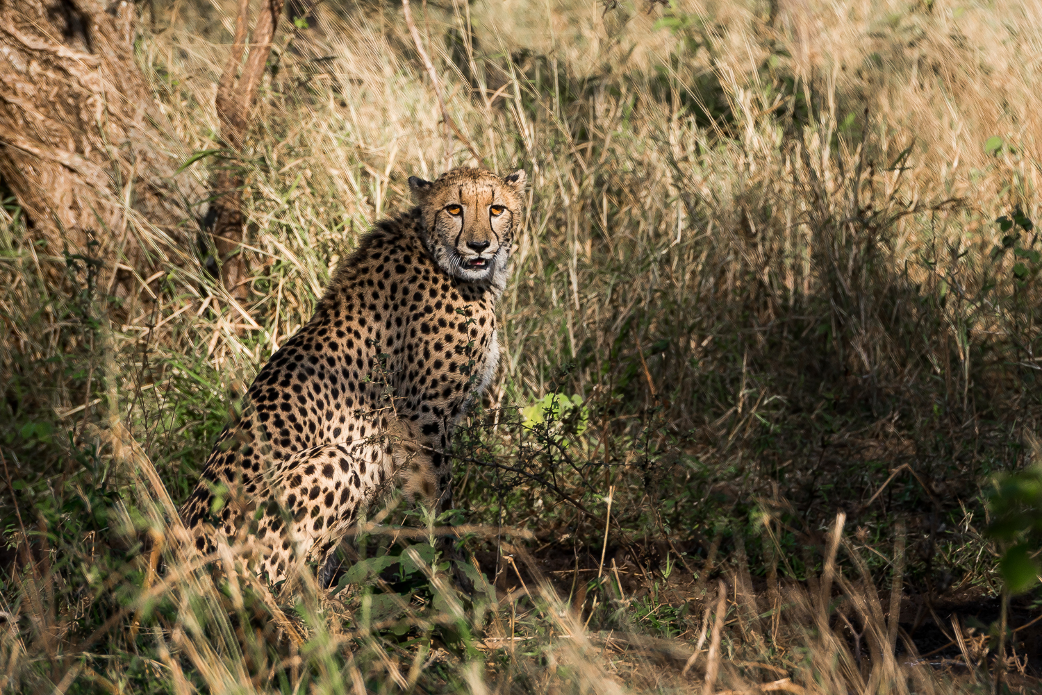 SouthAfrica-477_LR.jpg