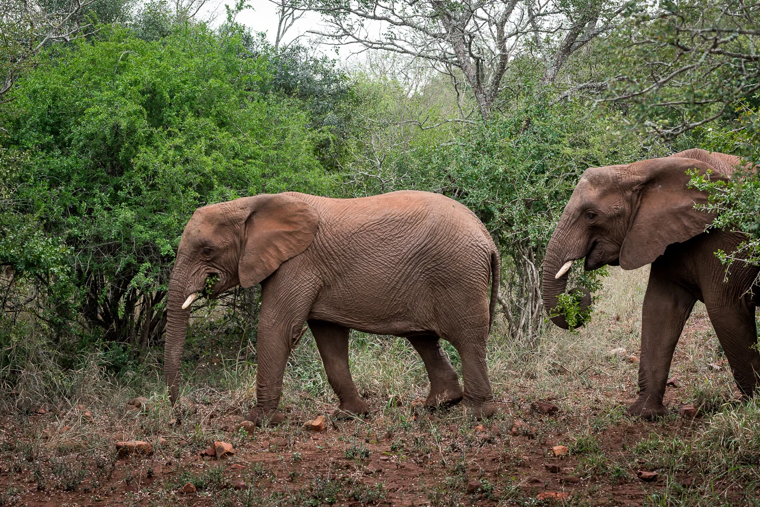 SouthAfrica-832_LR.jpg