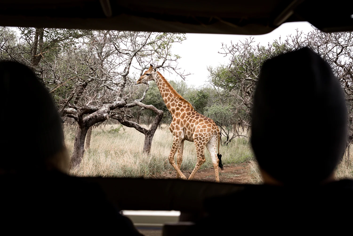 SouthAfrica-768-2_LR.jpg