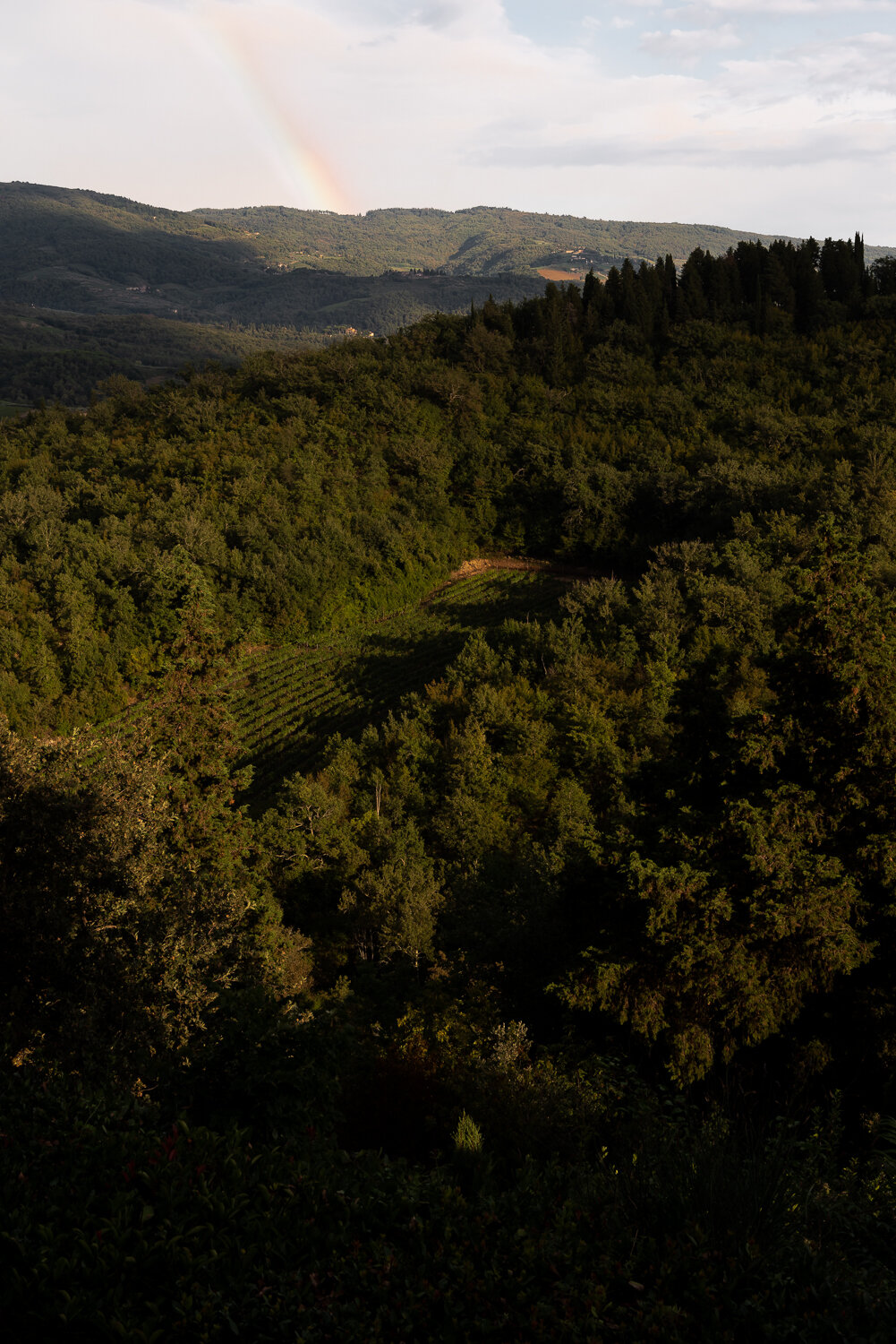 Tuscany-18_LR.jpg