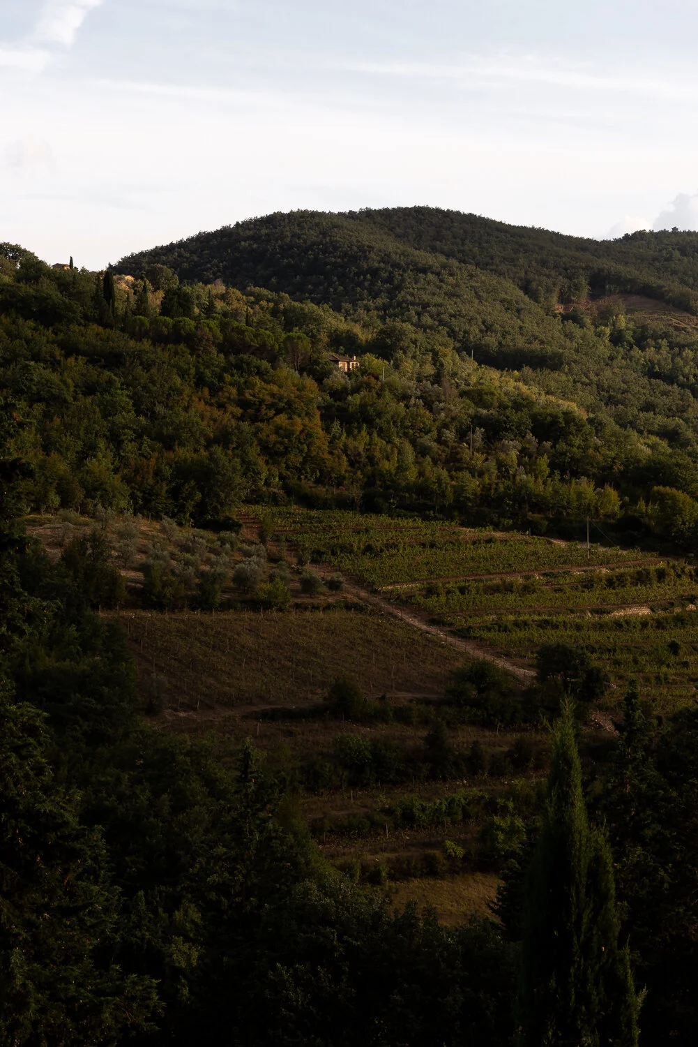 Tuscany-13_LR.jpg