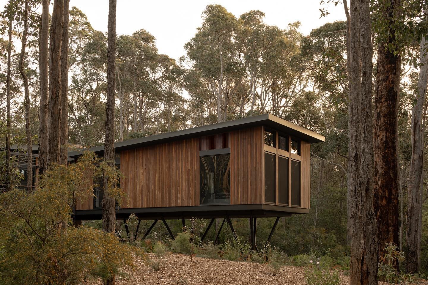 SW WA always good. Treehouse by @suzannehuntarchitect - featured in @ausdesignreview